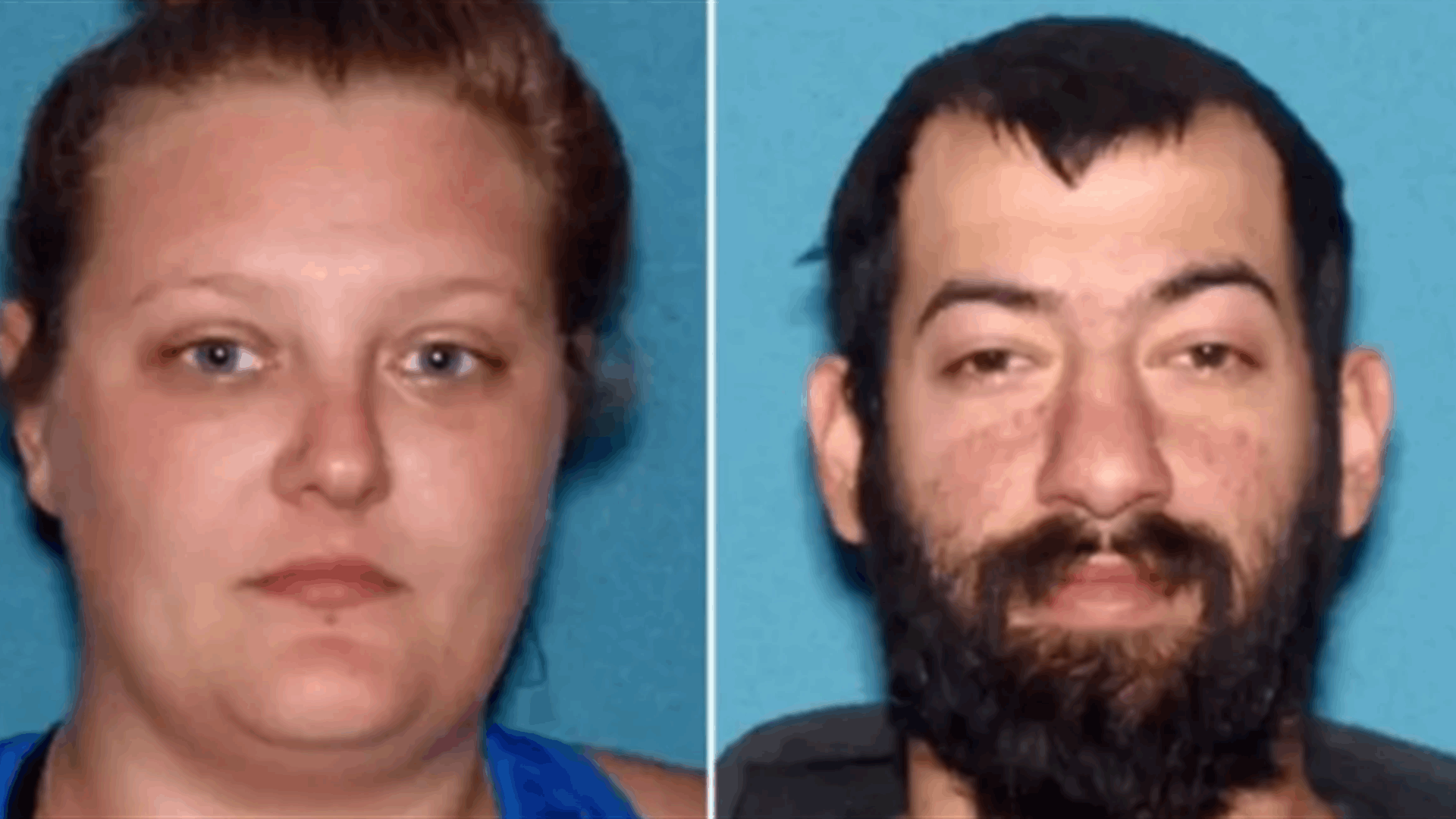 قصة مرعبة وغريبة... العثور على طفل يعيش في منزل مع 30 كلبًا ميتًا وحيوانات مريضة: هكذا فُضحت القضية!