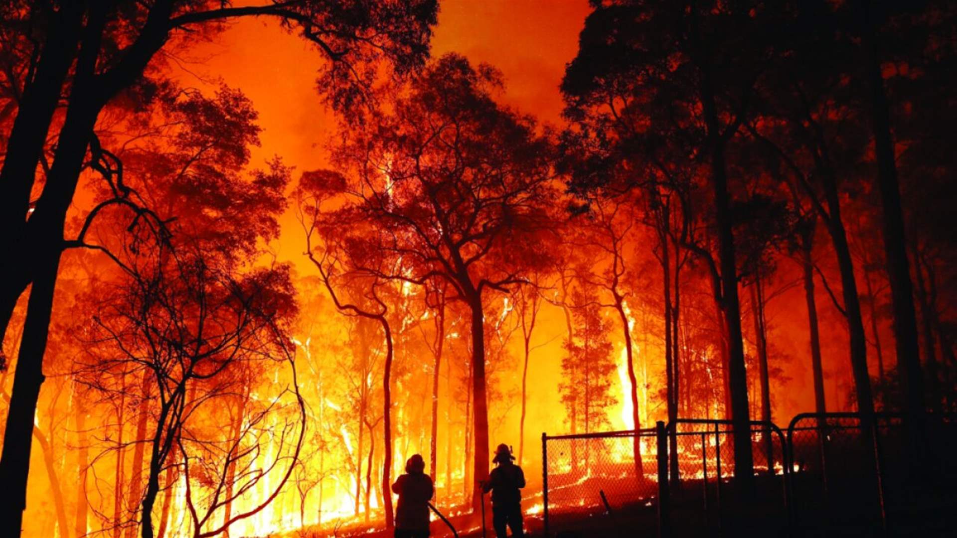 دراسة... التغير المناخي يزيد بنسبة 25 في المئة خطر حرائق الغابات الشديدة!