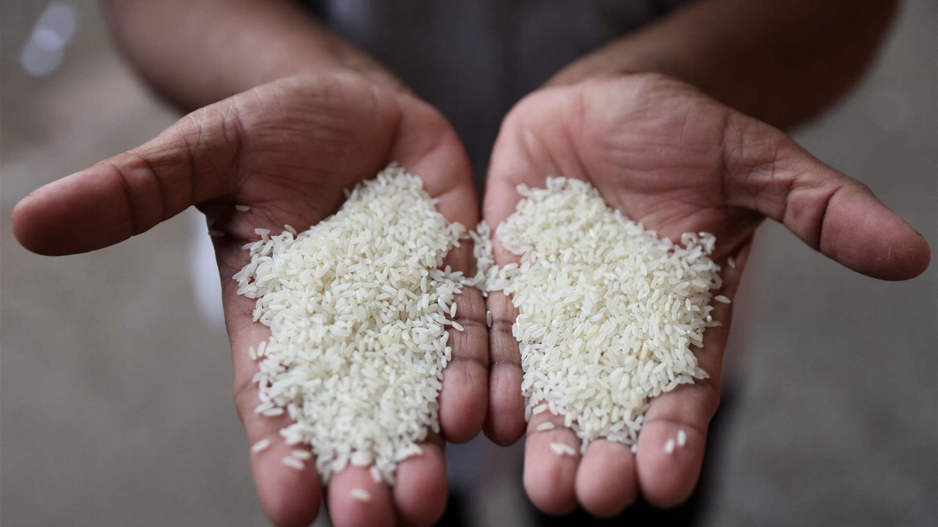 Rice prices at highest level in 15 years: FAO 