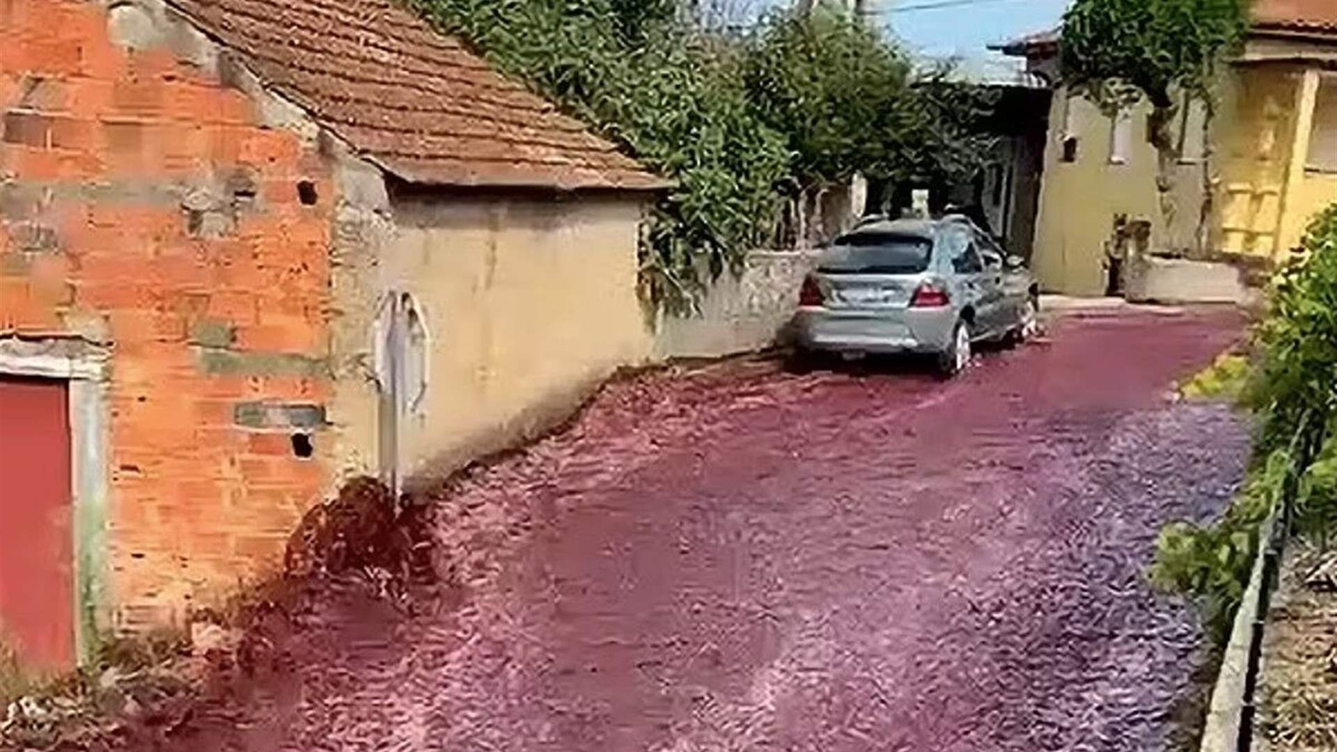 Wine floods the streets of a village in Portugal