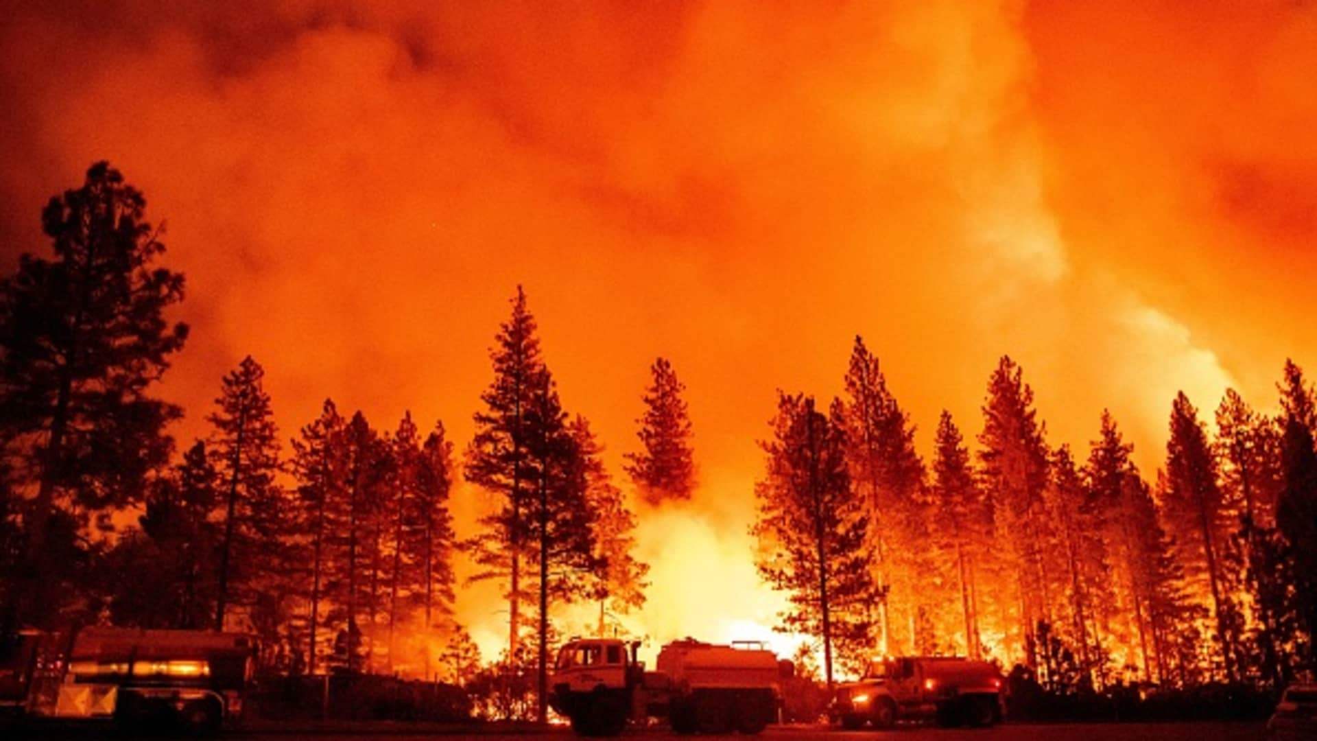 AI contributes to saving California from fire devastation