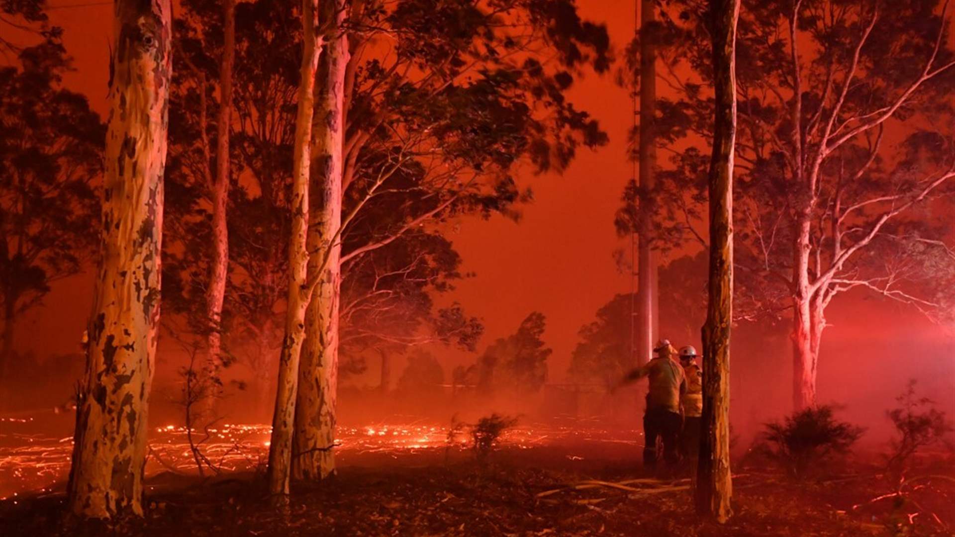 مرتبطة بارتفاع درجات الحرارة... أستراليا تعلن تشكل ظاهرة &quot;إل نينيو&quot; وتخشى اندلاع الحرائق