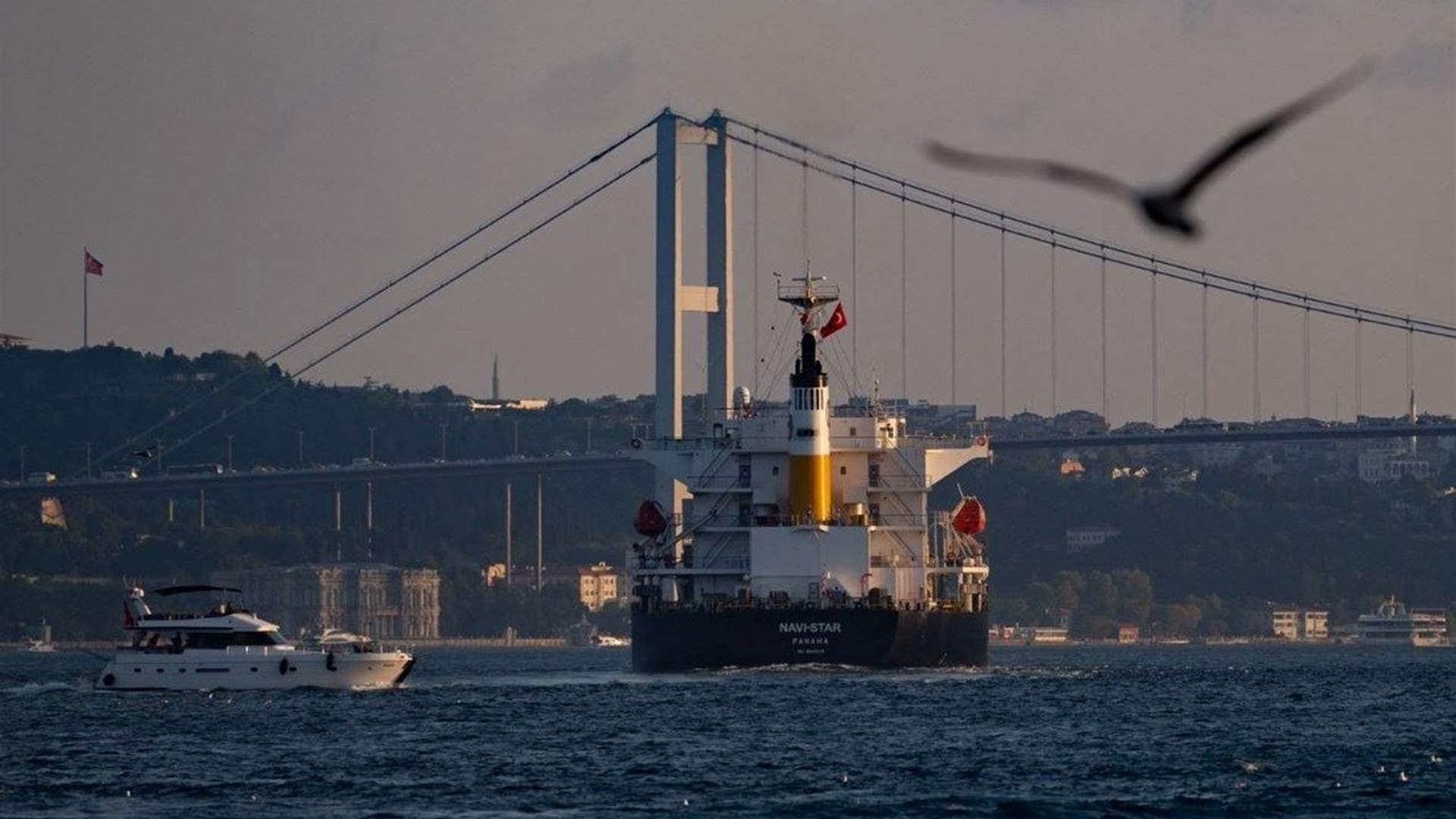 Second Ukrainian wheat ship arrives in Istanbul since end of international agreement 