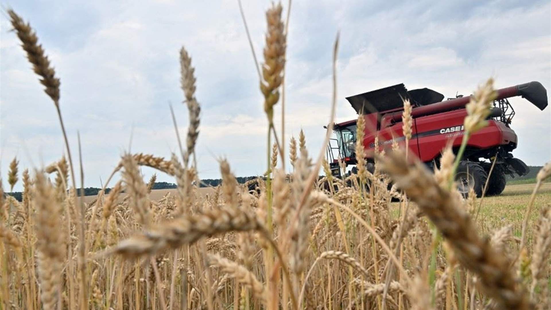 مطالب أوروبية لبروكسل بفحص ممرات الحبوب الأوكرانية