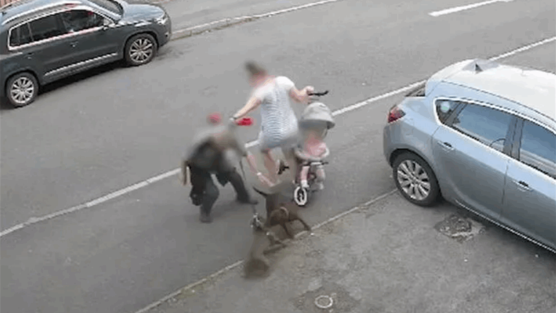 لحظات مرعبة لأم تحاول حماية طفلتها من هجوم كلب شرس...وهذا ما حصل! (فيديو)