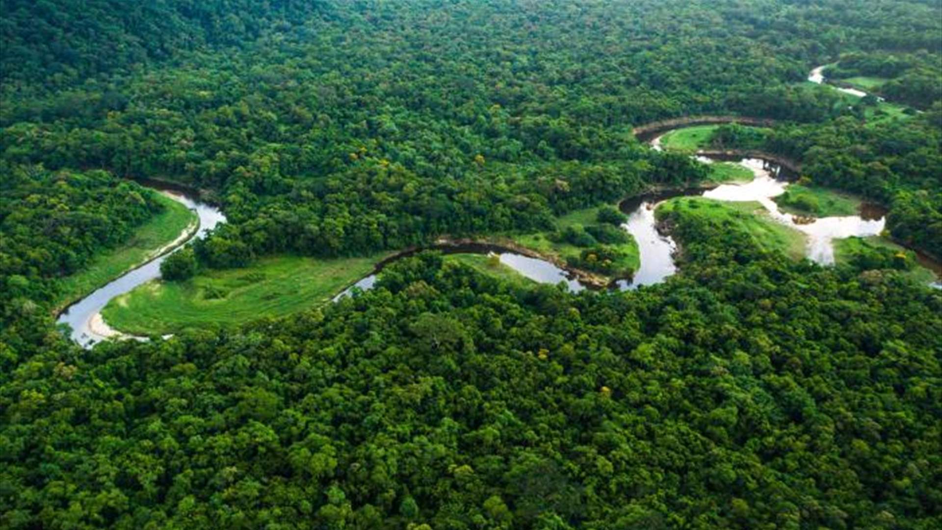 Brazilian Government Allocates &quot;Emergency&quot; Aid to a Drought-Stricken State