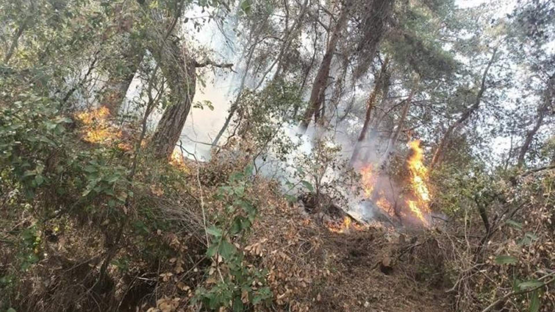 النيران مازالت مشتعلة في أحراج الدبية وبعاصير وفقدان طرق توصل إلى مواقع الحريق
