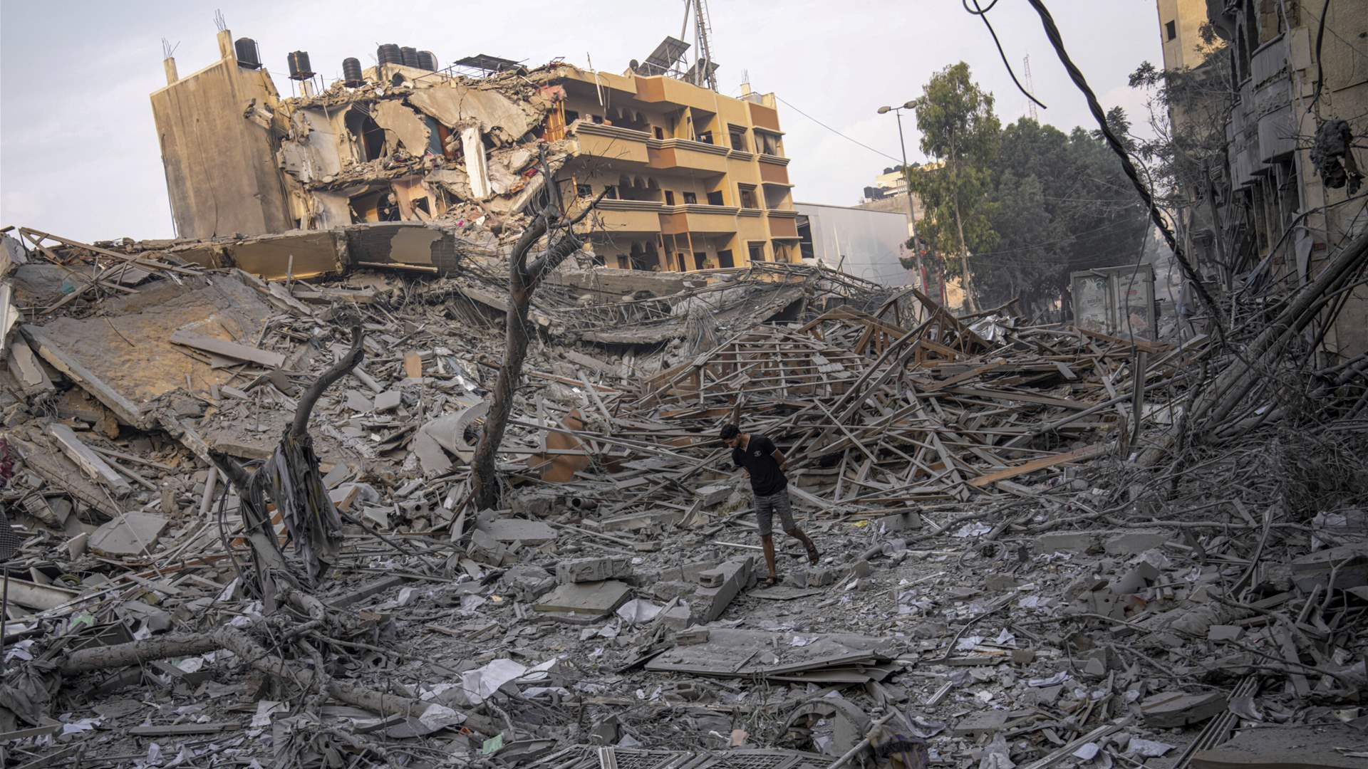 The death toll from the Israeli bombing in the Gaza Strip rises to 560