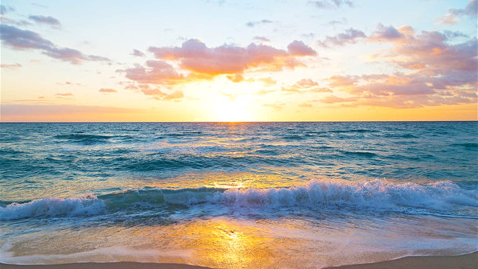 رحلة رومانسية إلى الشاطئ لمشاهدة شروق الشمس تحولت إلى كابوس... إليكم ما حصل! (صور)