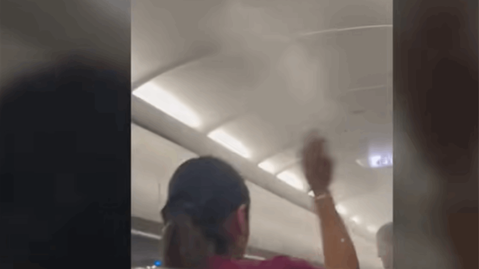 طائرة تقع ضحية سرب من البعوض... ما حصل لا يصدق! (فيديو) 