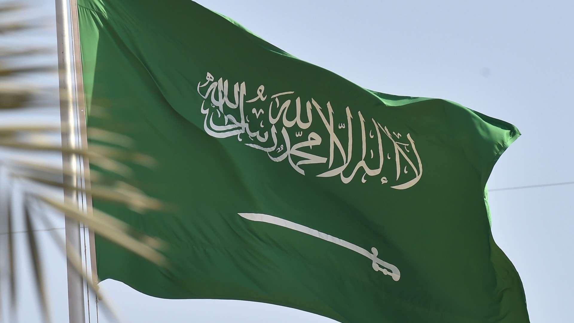 Saudi Arabia suspends normalization talks with Israel 