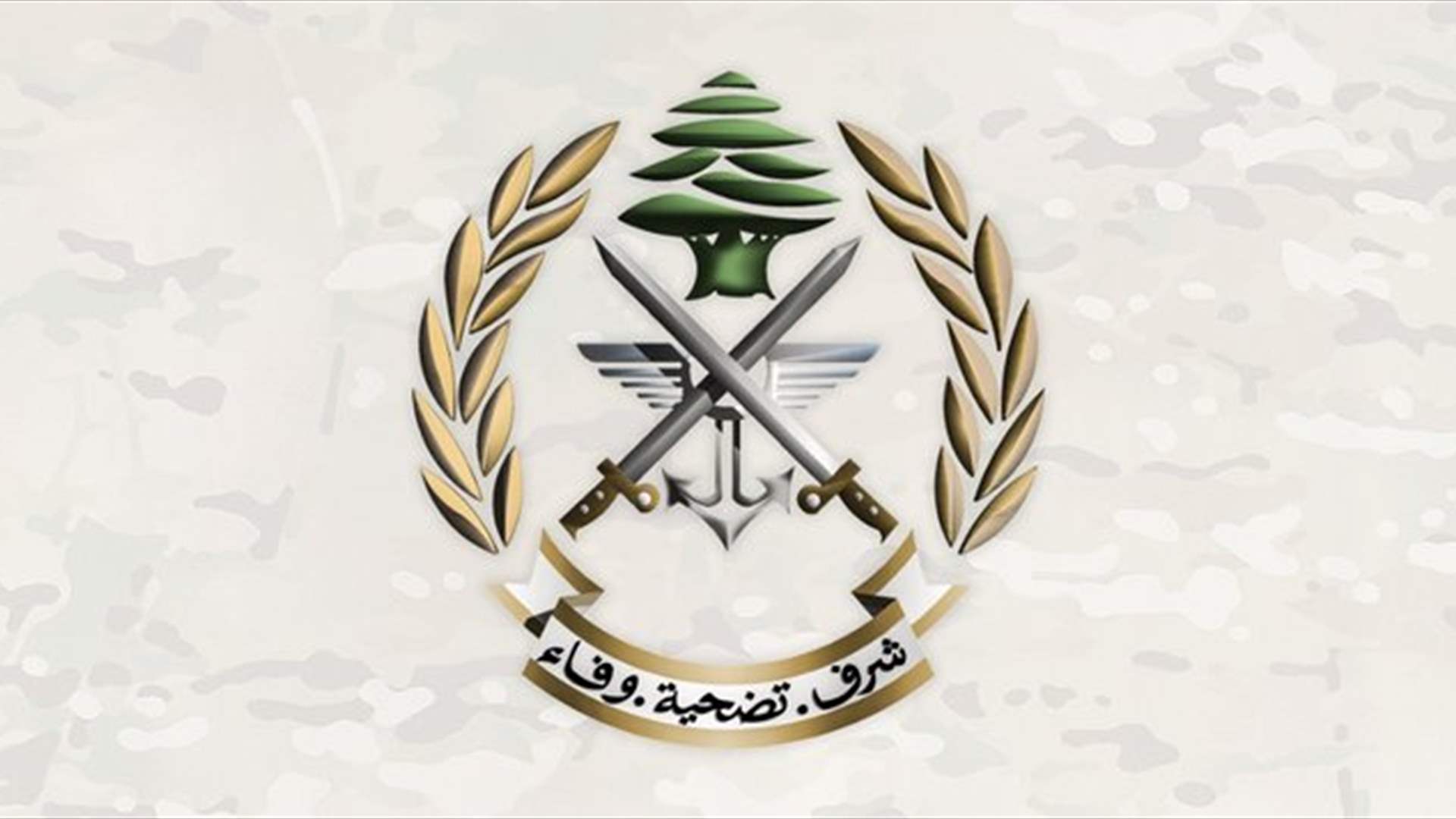 Lebanese Army receives second shipment of Qatari aid