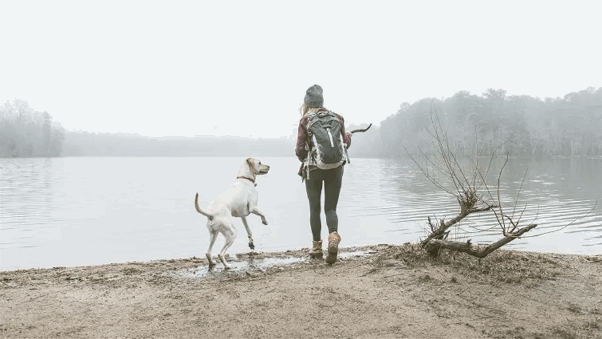 أنقذ امرأة وكلب من الغرق... ولكن مصيره تحوّل إلى مأساة!  