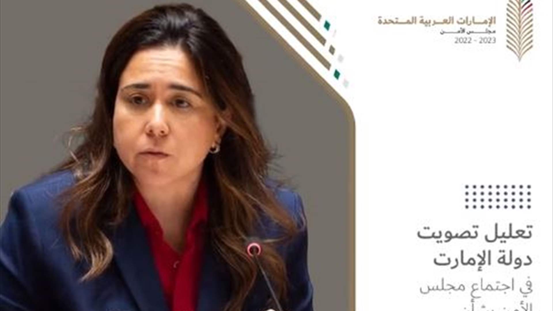 بعثة الإمارات الدائمة لدى الأمم المتحدة: المجلس لم يتمكن  من إصدار أي منتج يحد من معاناة المدنيين في غزة