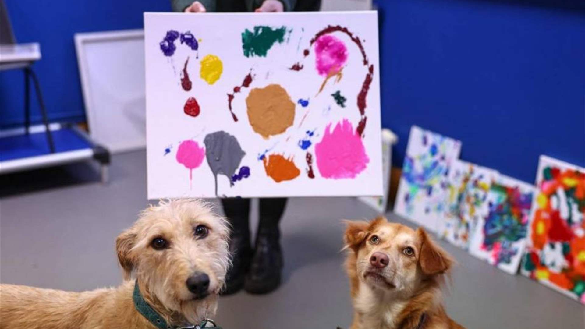 مركز لإيواء الكلاب المهجورة يلجأ لتمويل نفسه إلى بيع لوحات رسمتها حيواناته
