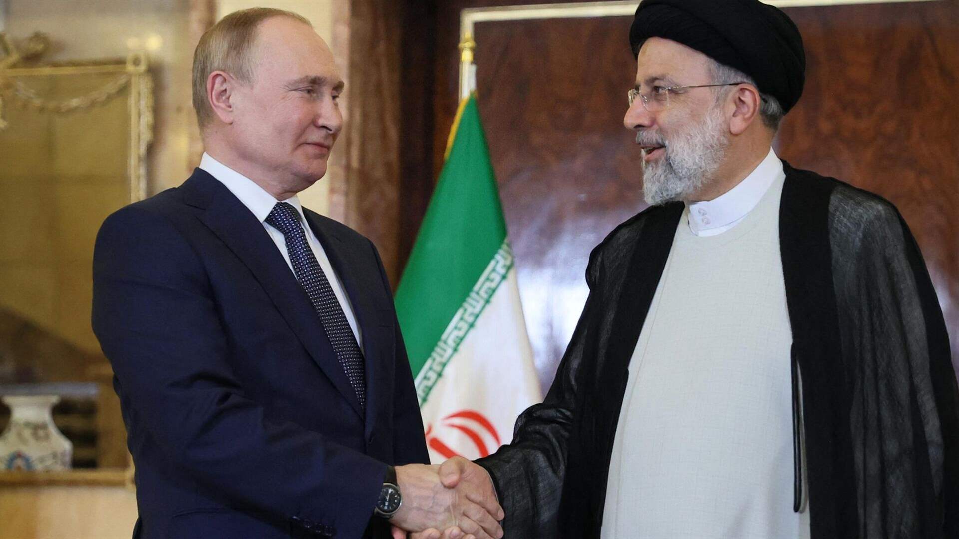 Putin tells Raisi vital to discuss Palestine; Raisi says genocide in Gaza