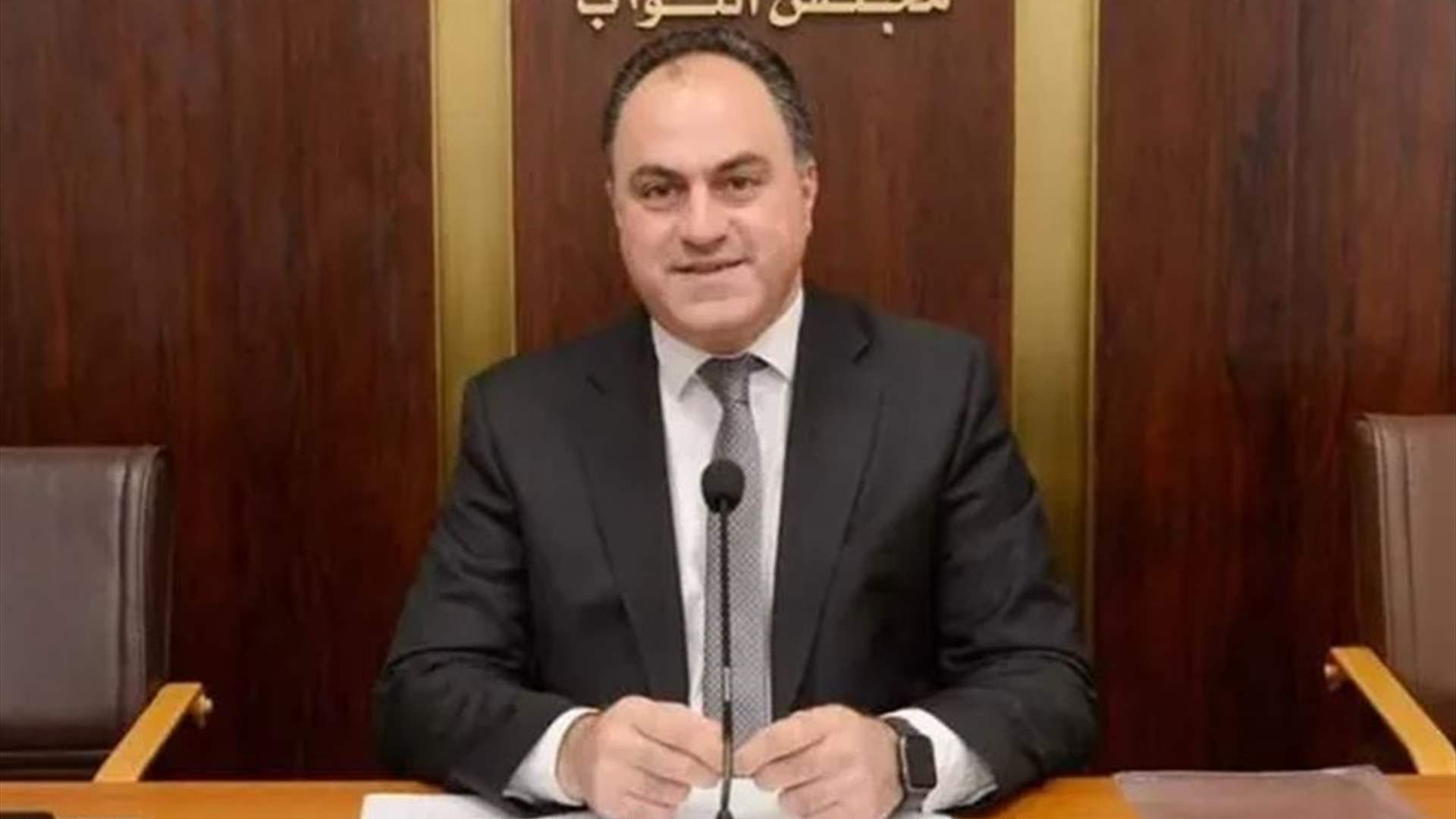 MP Jabbour to LBCI Minister of Defense Powers are outlined in the constitution