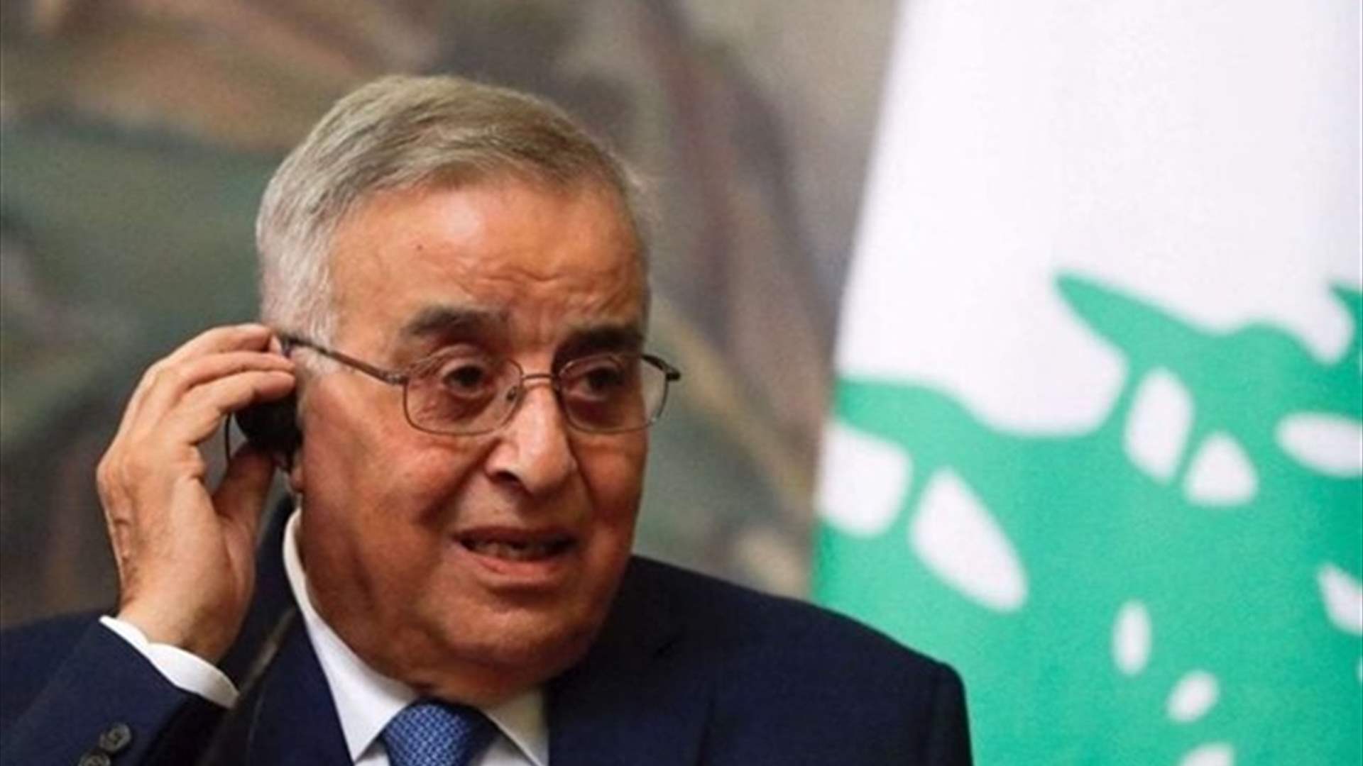 بو حبيب شكر المانيا على عزمها تقديم مساعدات مخصصة لبرامج تنمية في لبنان بقيمة  ٩١ مليون يورو