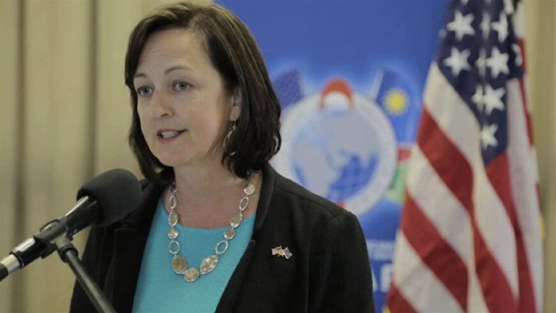 New US Ambassador Lisa Johnson to reinvigorate Presidential Electoral file