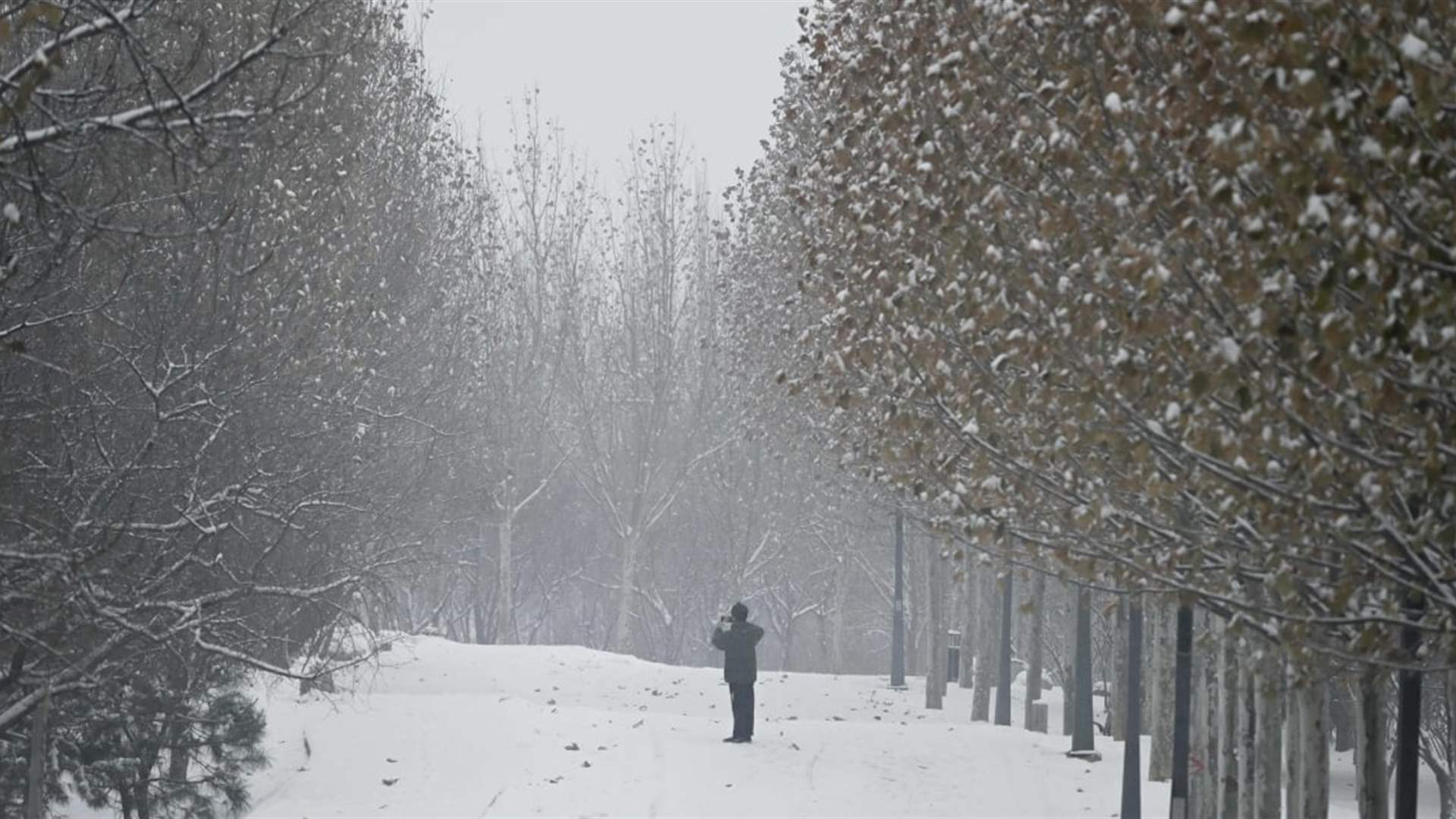 Chinese Henan province suffering from heating shortage after severe cold wave 