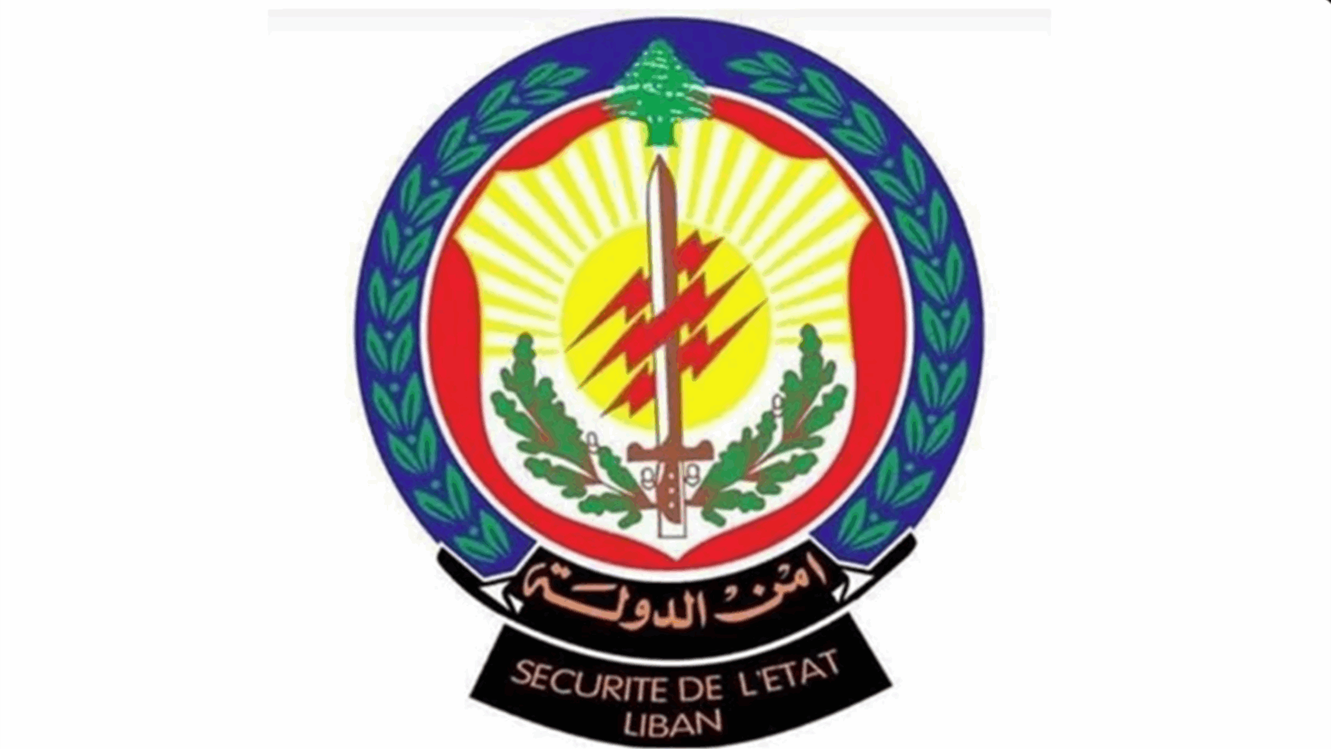 شاحنة محمّلة بـ2 طن من الكابتاغون كانت متّجهة إلى السعوديّة وأمن الدولة تحرّك