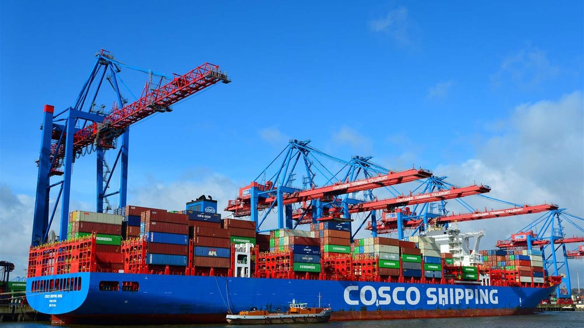 China&#39;s COSCO halts shipping to Israel