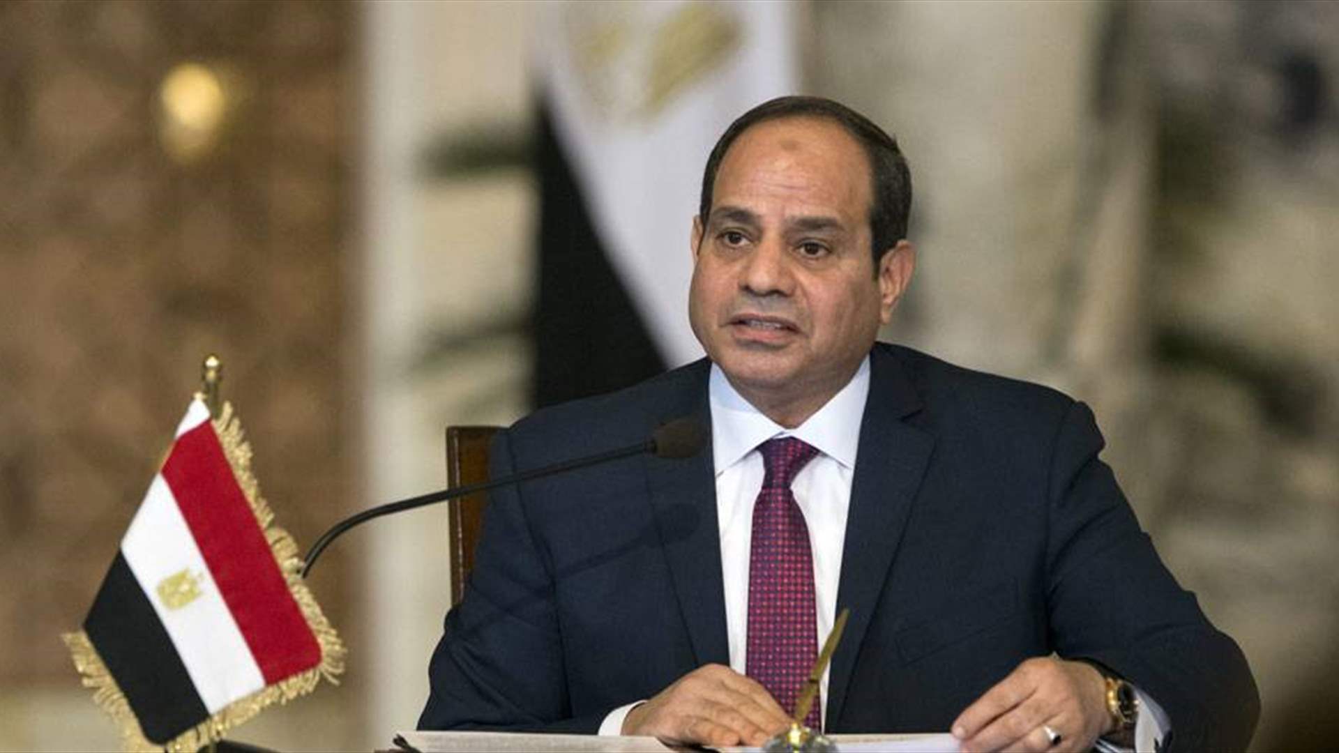 السيسي يدعو إلى "وقفة حاسمة" من أجل وقف إطلاق النار في غزة