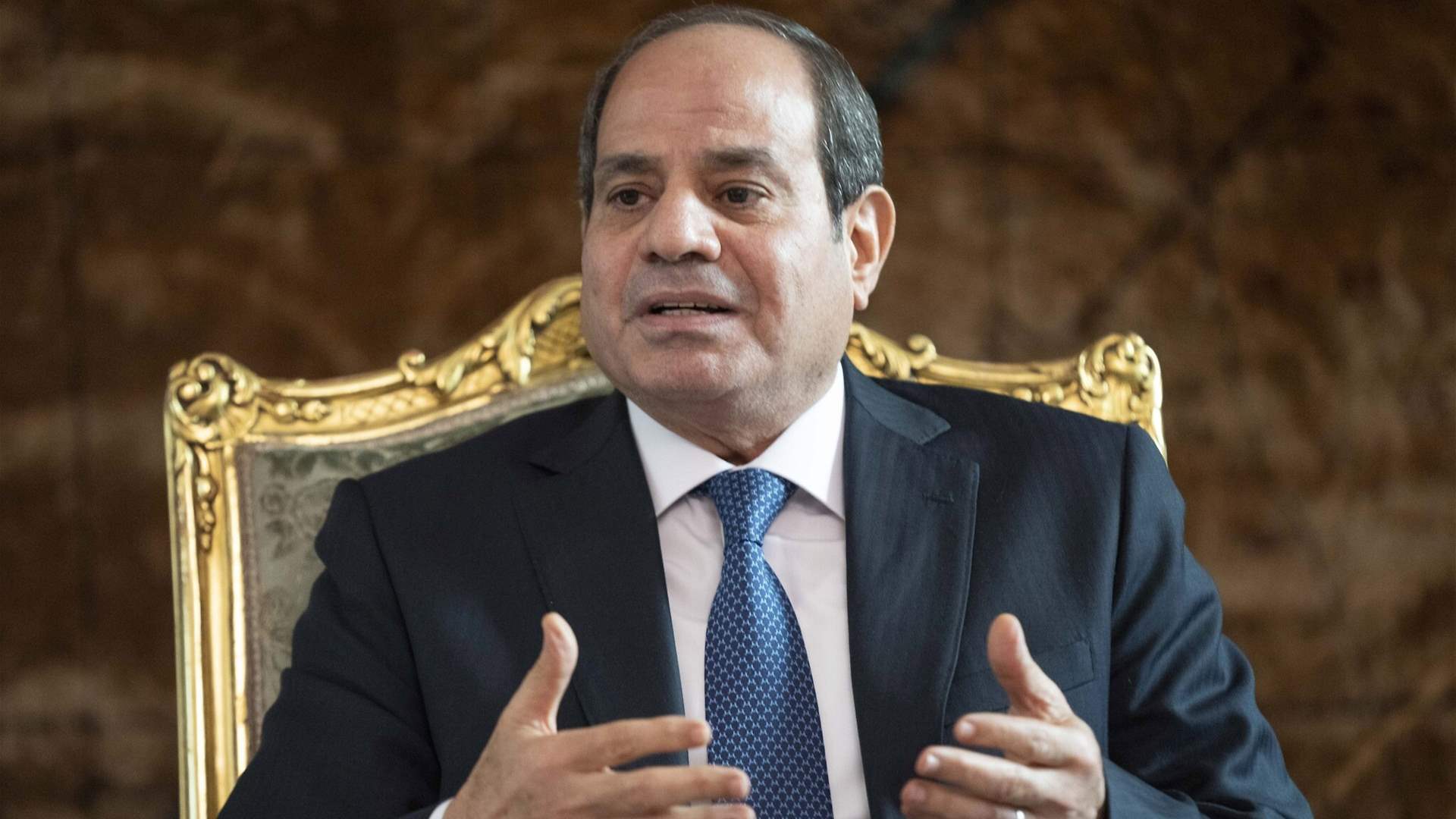Egyptian President calls for &#39;decisive stand&#39; to push for truce in Gaza