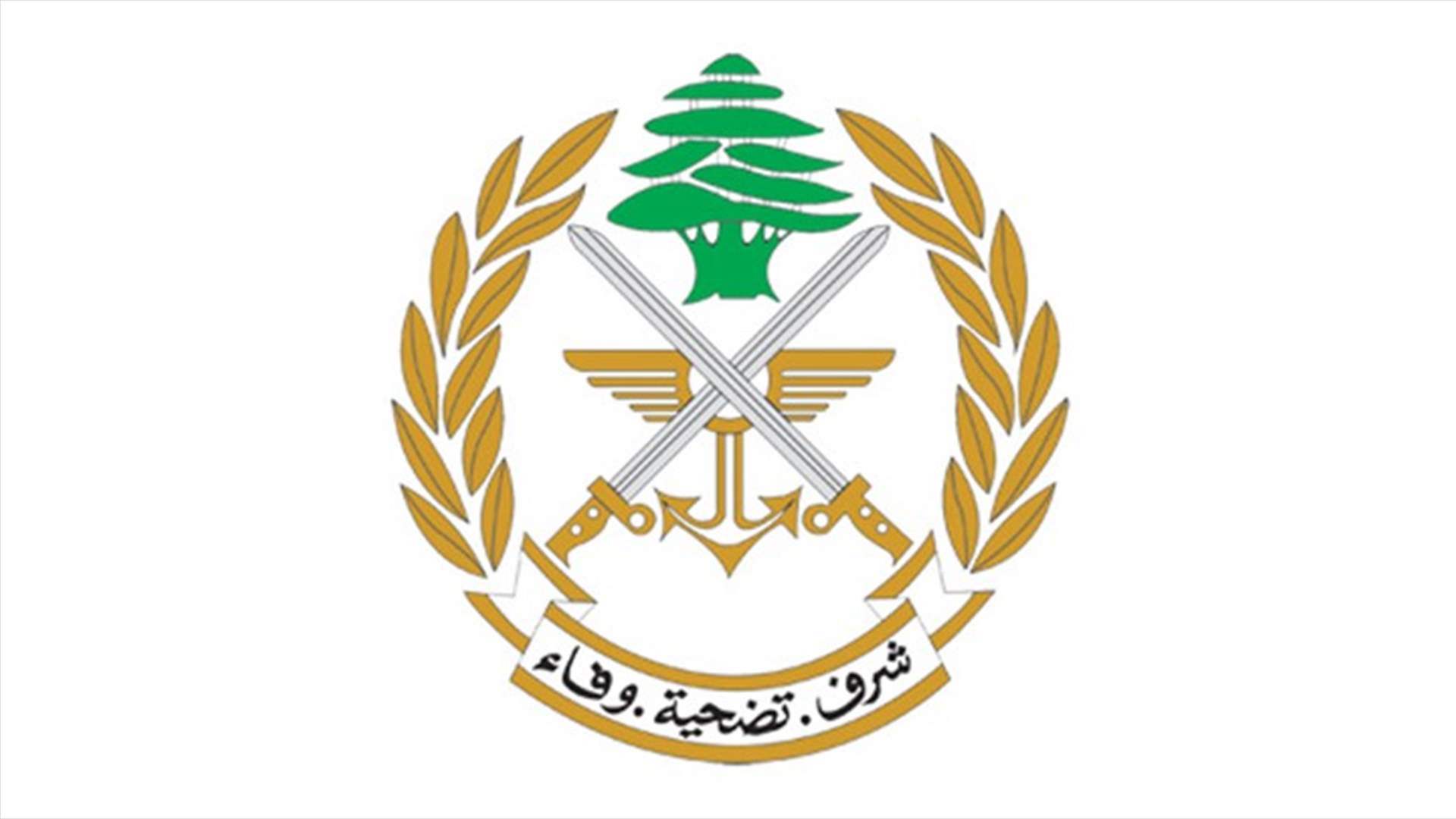 الجيش: توقيف 8 أشخاص لارتكابهم جرائم مختلفة