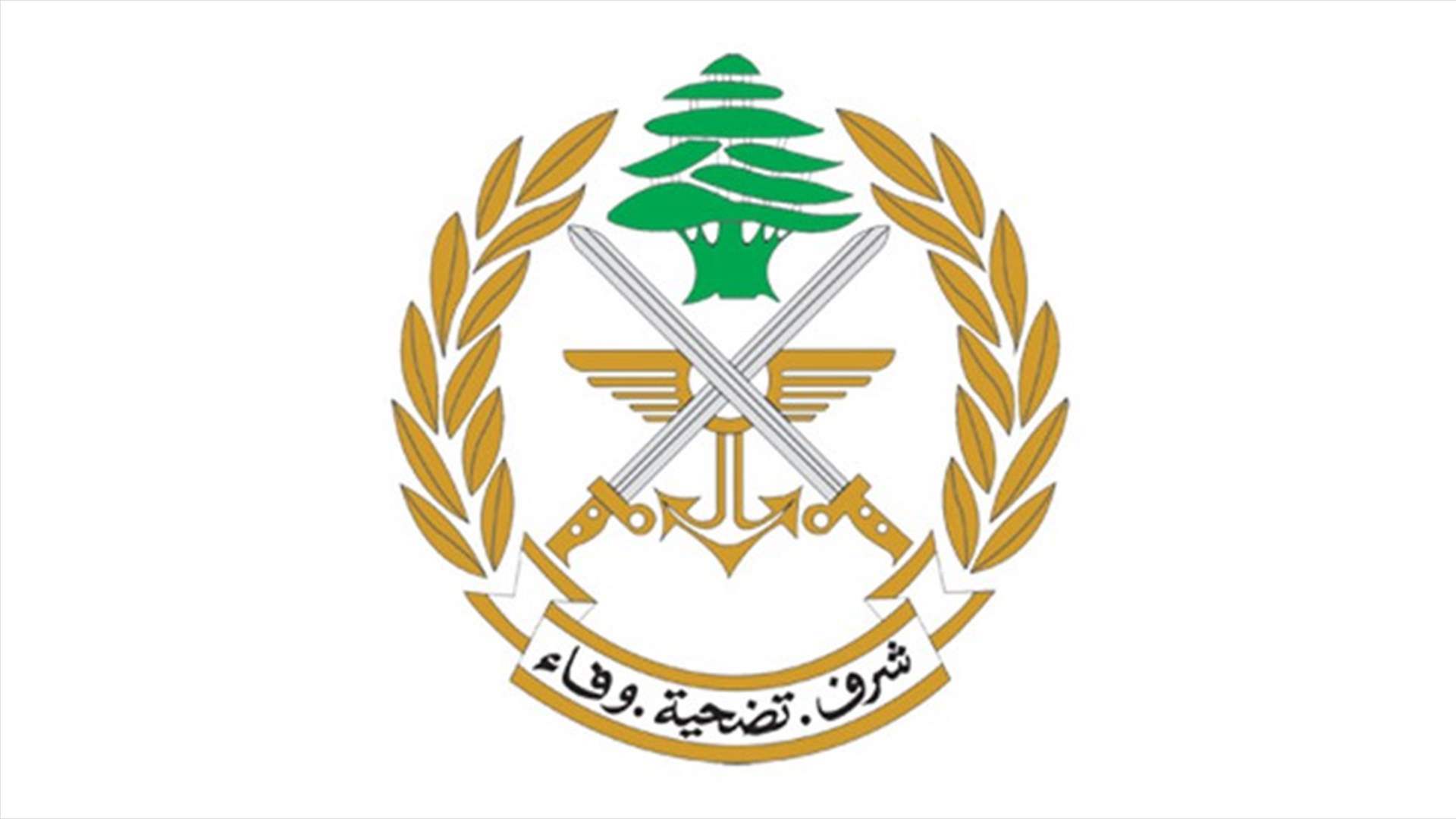 الجيش: توقيف 10 مواطنين لتورطهم في إشكال في بلدة برج العرب - عكار