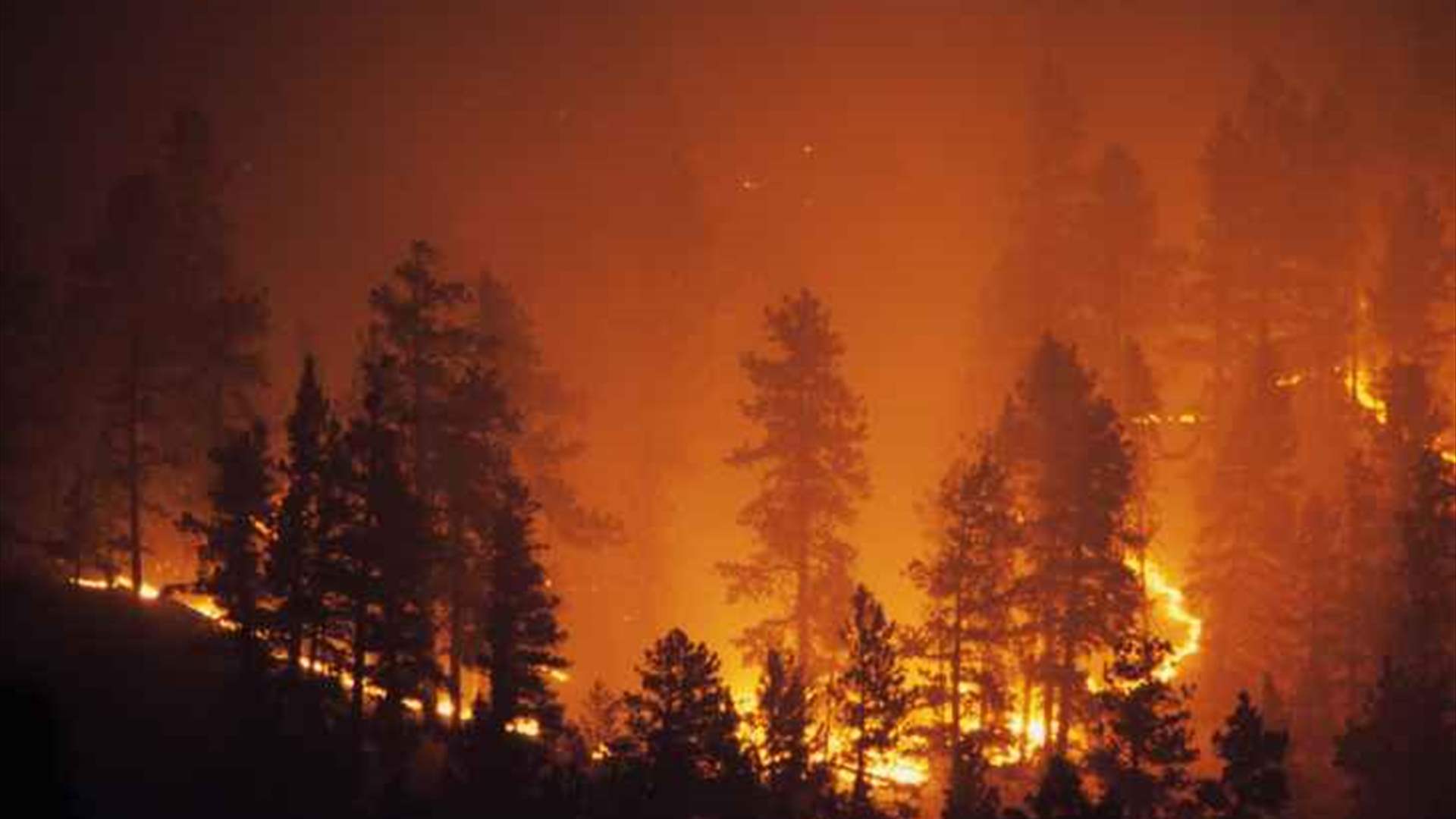 حريق يدمر 600 هكتار من موقع أرجنتيني مدرج على لائحة التراث العالمي