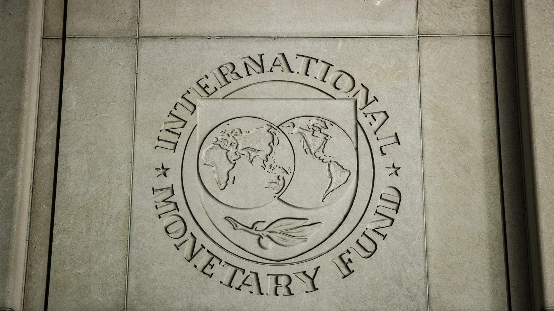 IMF: Attacks in the Red Sea caused shipping traffic to decrease by 30%