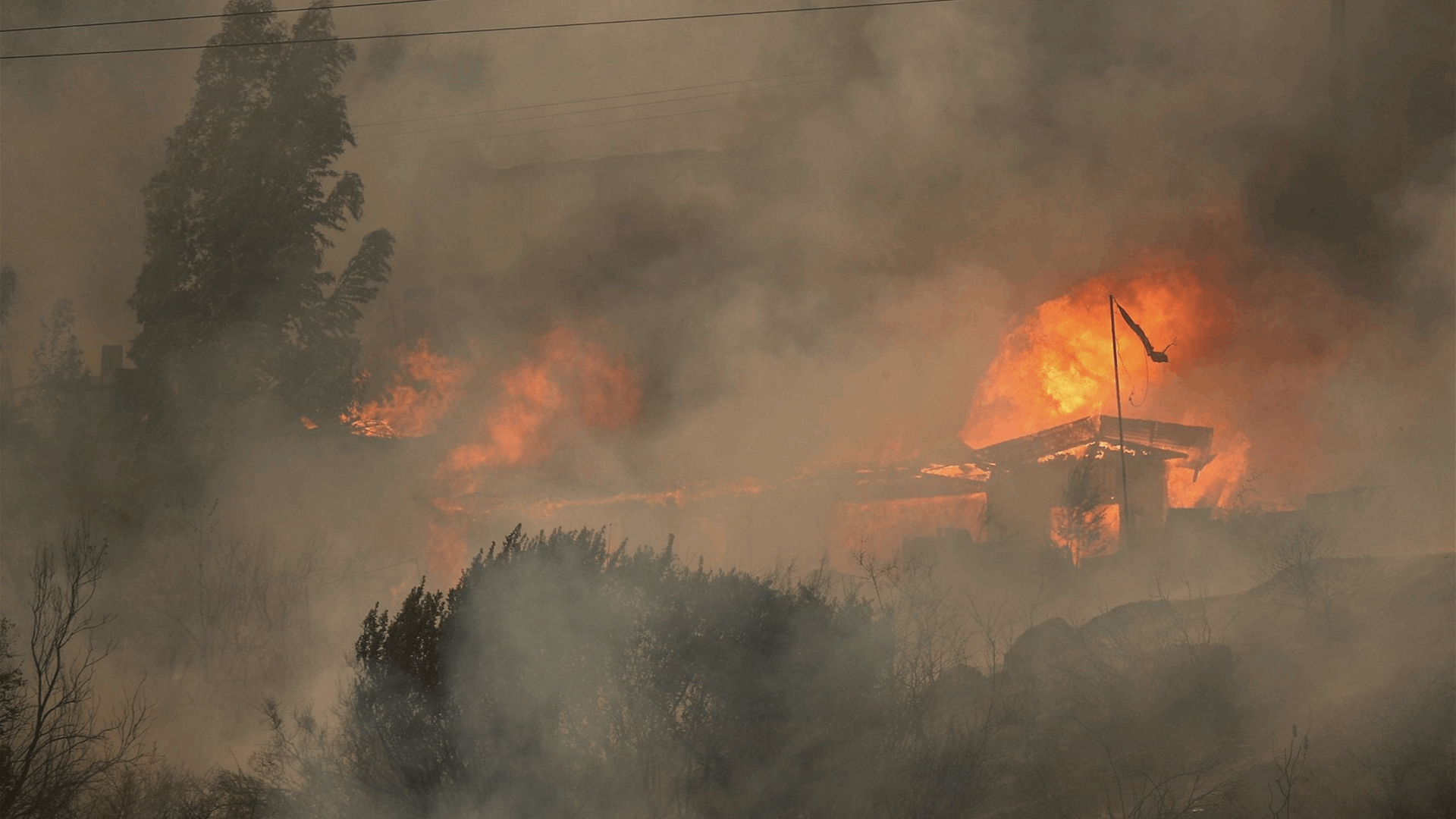 Los incendios forestales matan a 51 personas en Chile