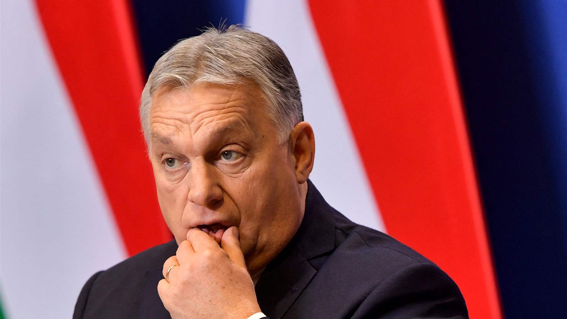 US envoy and NATO allies pressure Hungary over Sweden&#39;s NATO bid