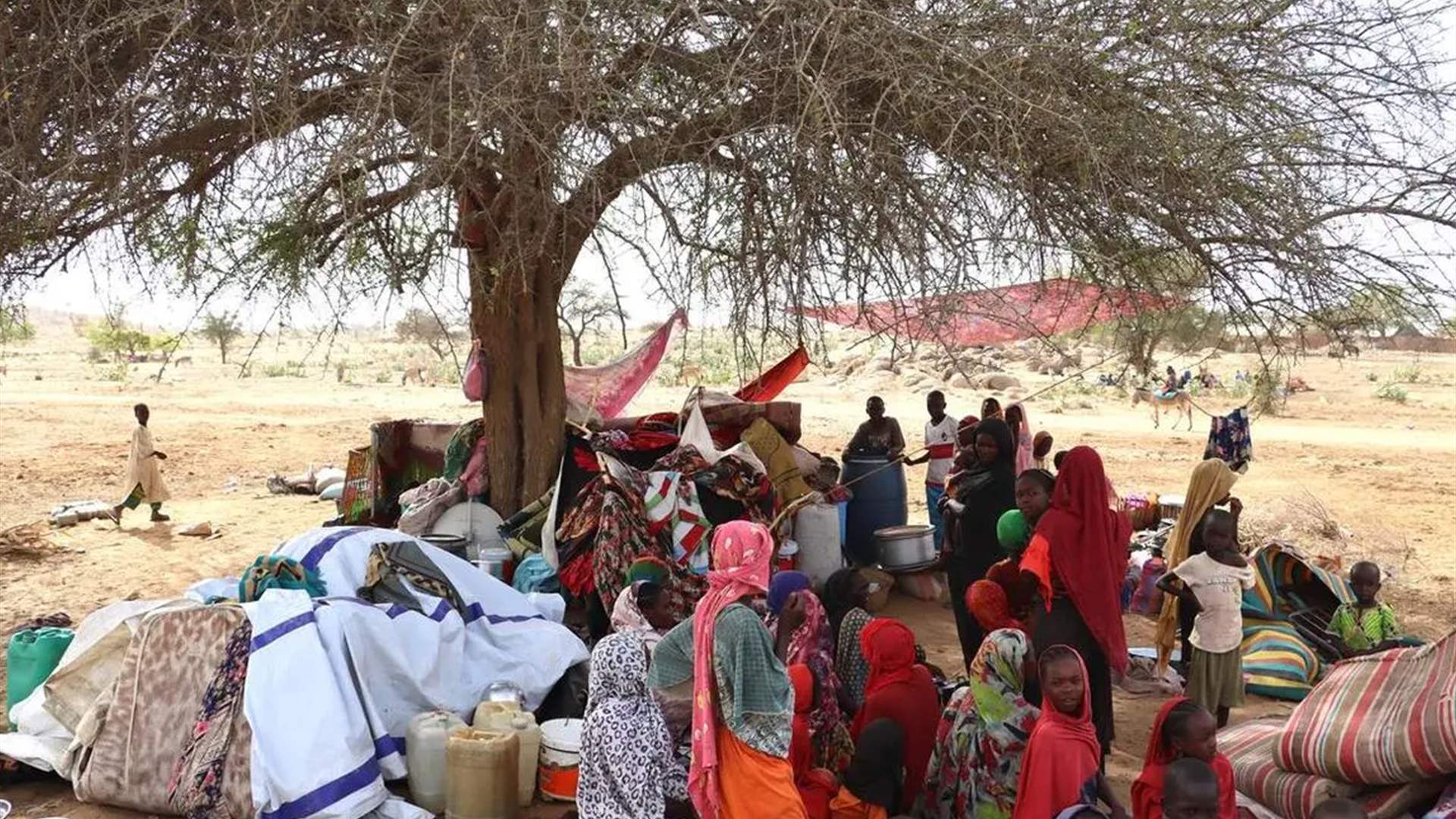 Sudanese refugees in Egypt were faced with the choice of living without Shelter or returning to war in their homeland