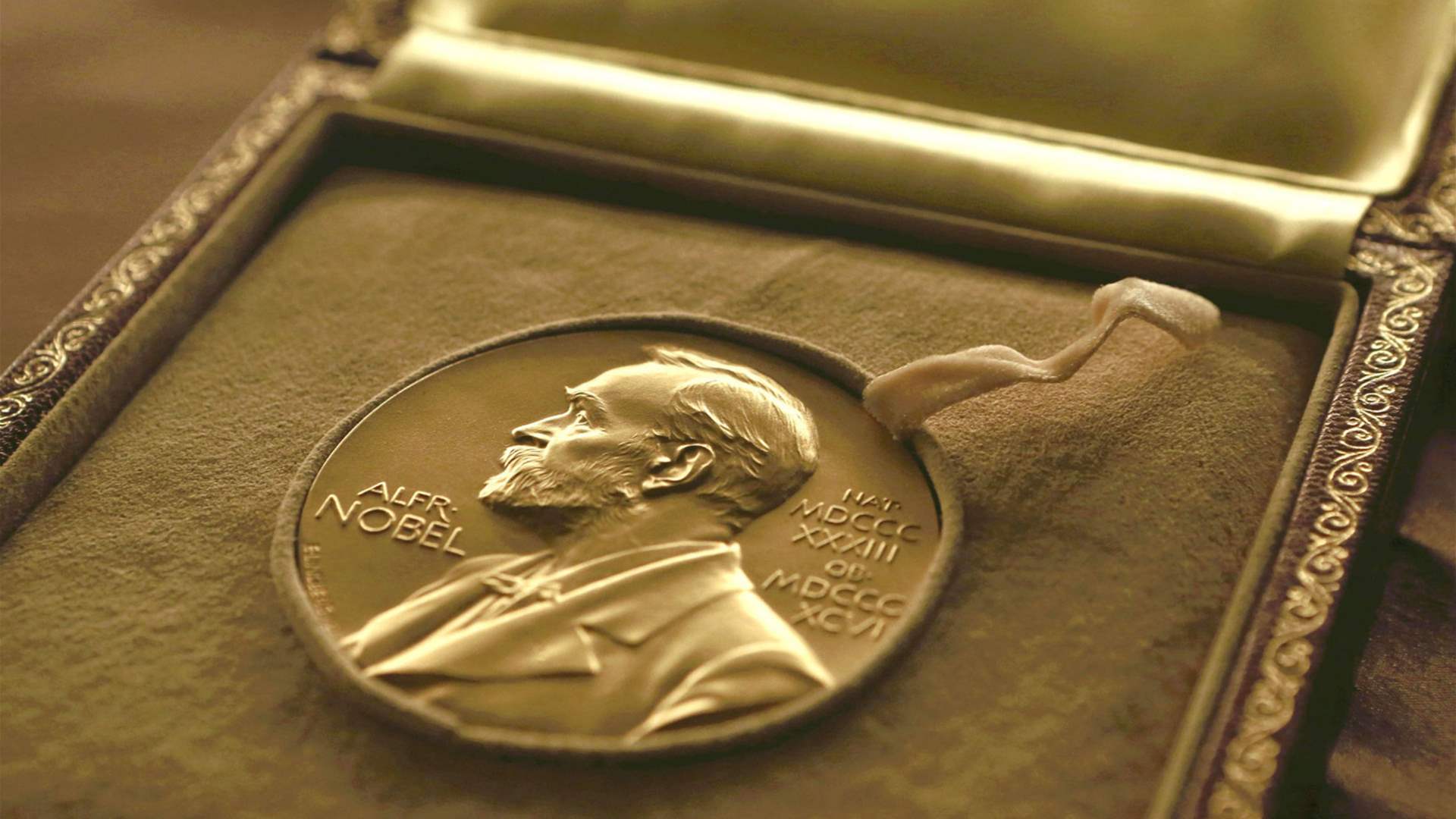 "نحن في ورطة إنها كارثة كبيرة"... جهات دخلت بالقوة واستولت على شركات رجل أعمال حائز على نوبل للسلام في هذا البلد!