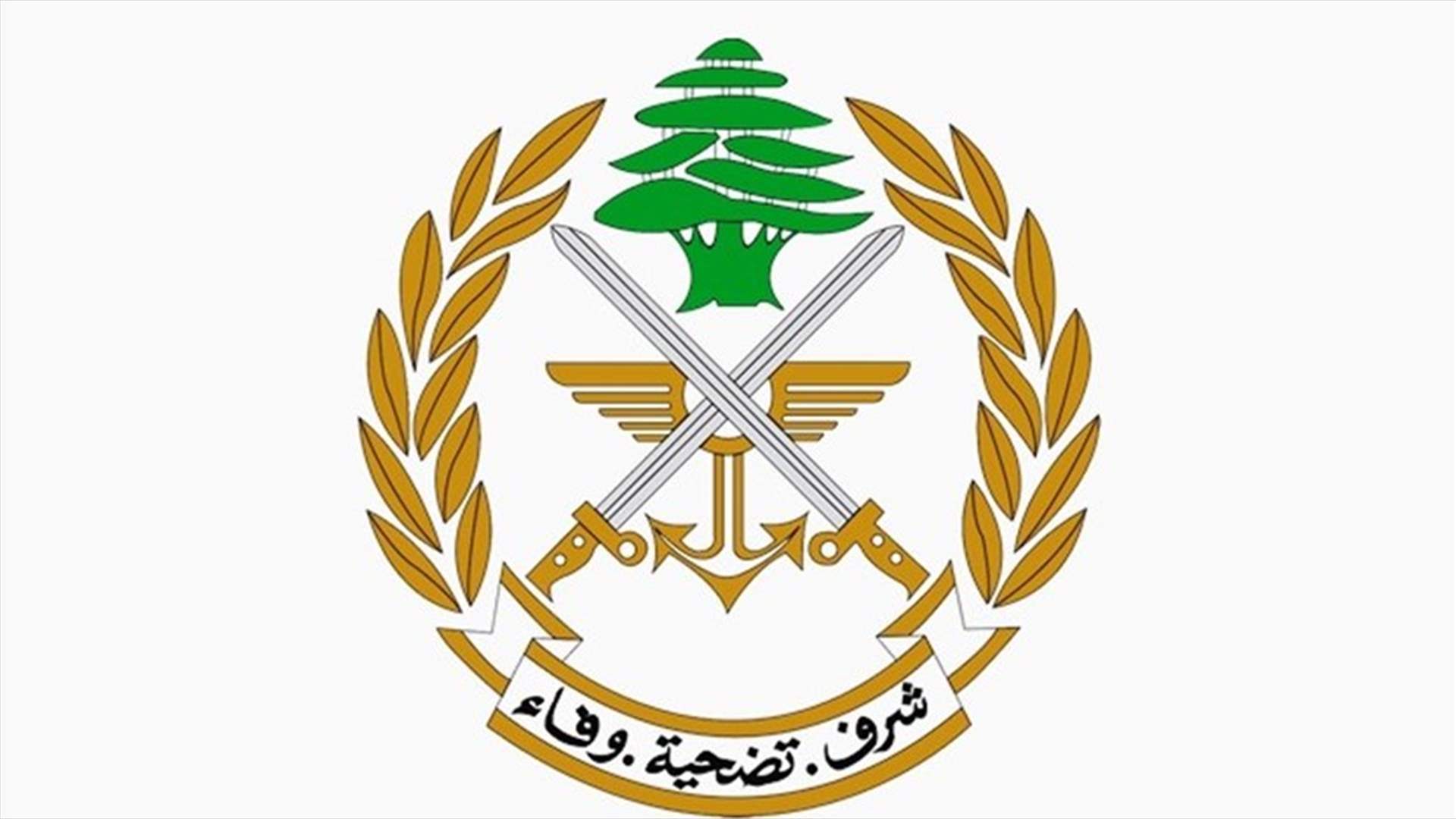 الجيش: توقيف فلسطينيين إثنين عند أحد مداخل مخيم عين الحلوة