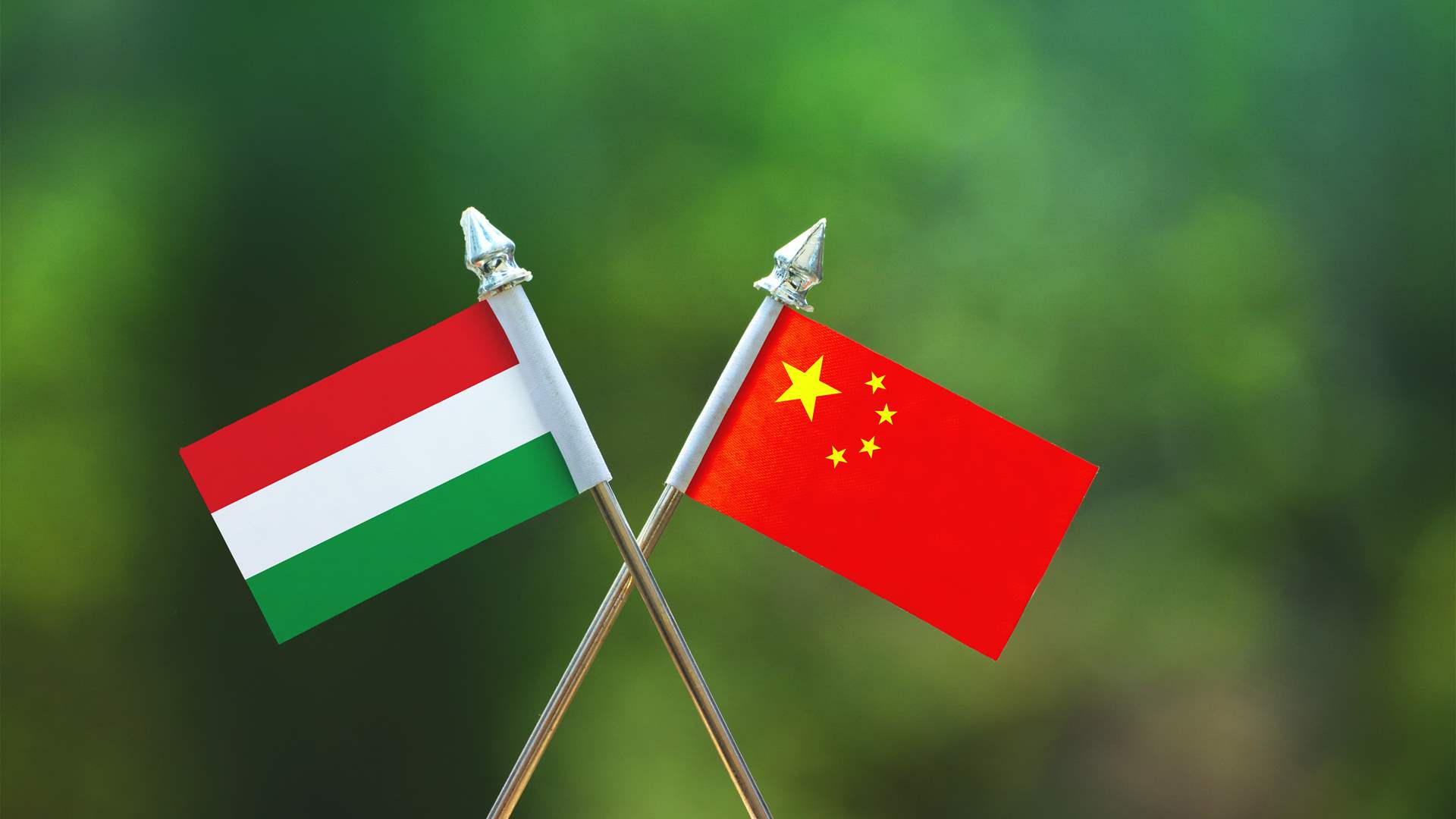 China proposes to back Hungary in security matters