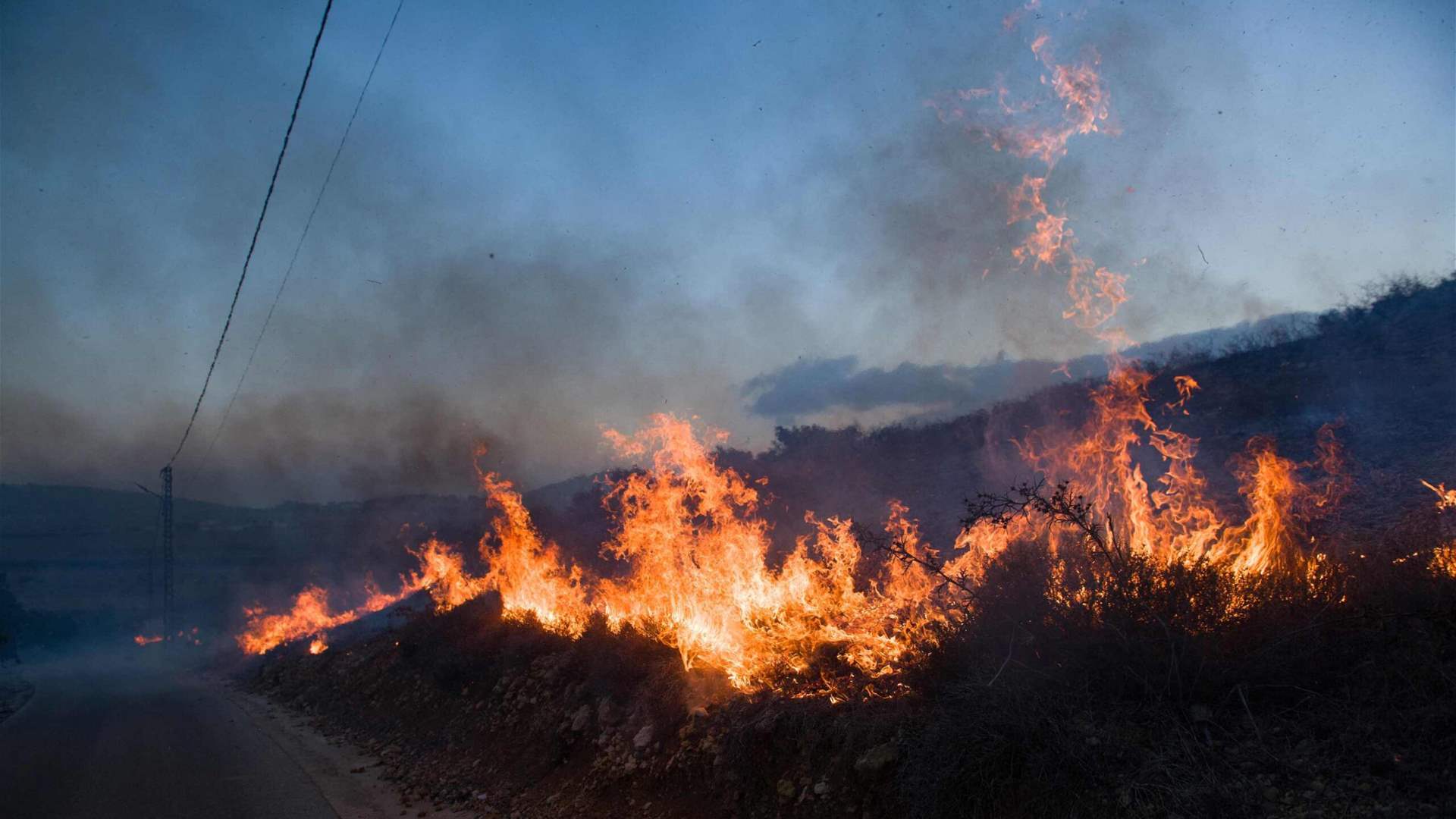 Agricultural sector in danger: Repercussions of Israeli attacks on Southern Lebanon&#39;s agriculture