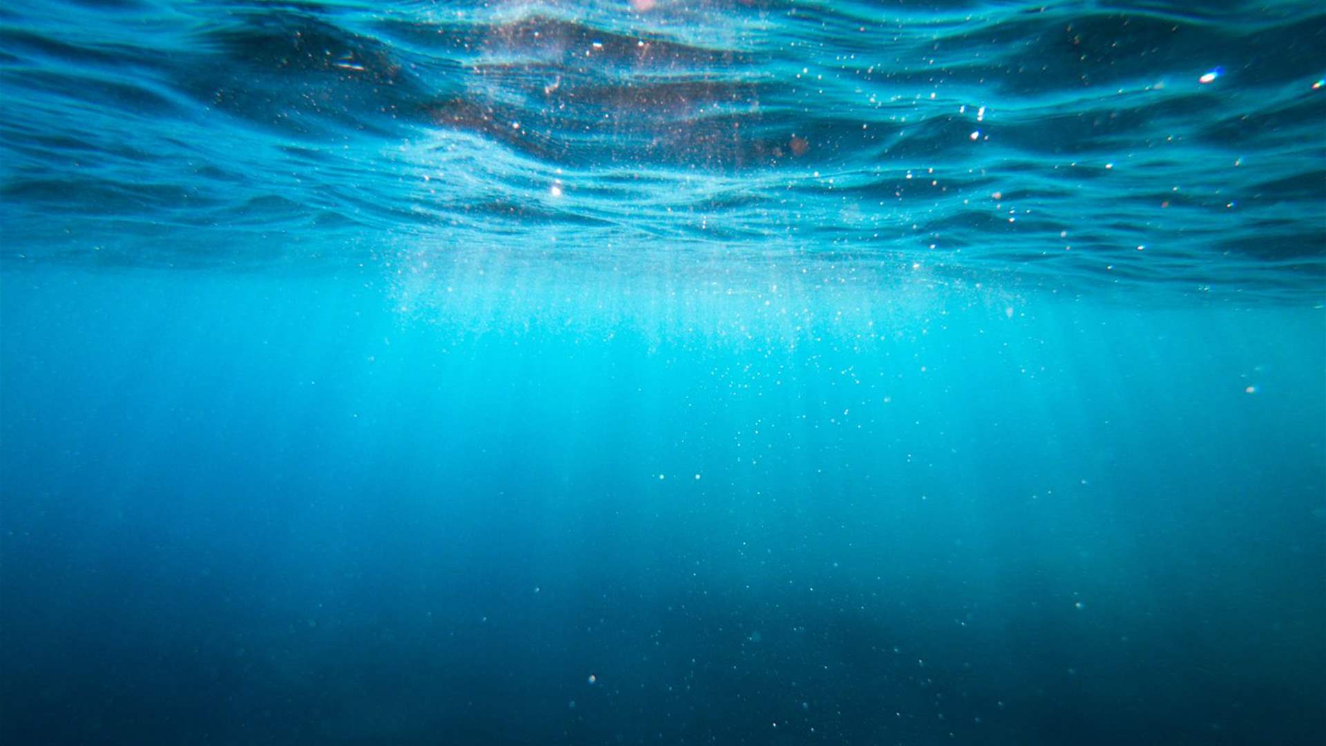 العلماء يكتشفون 4 جبال بحرية تحت الماء في هذا البلد... لن تصدقوا المخلوقات التي رصدوها! (فيديو)