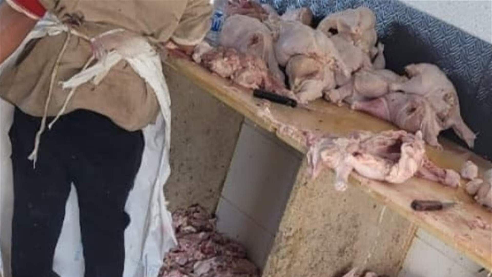أمن الدولة تُقفل مسالخ مخالفة في الأوزاعي