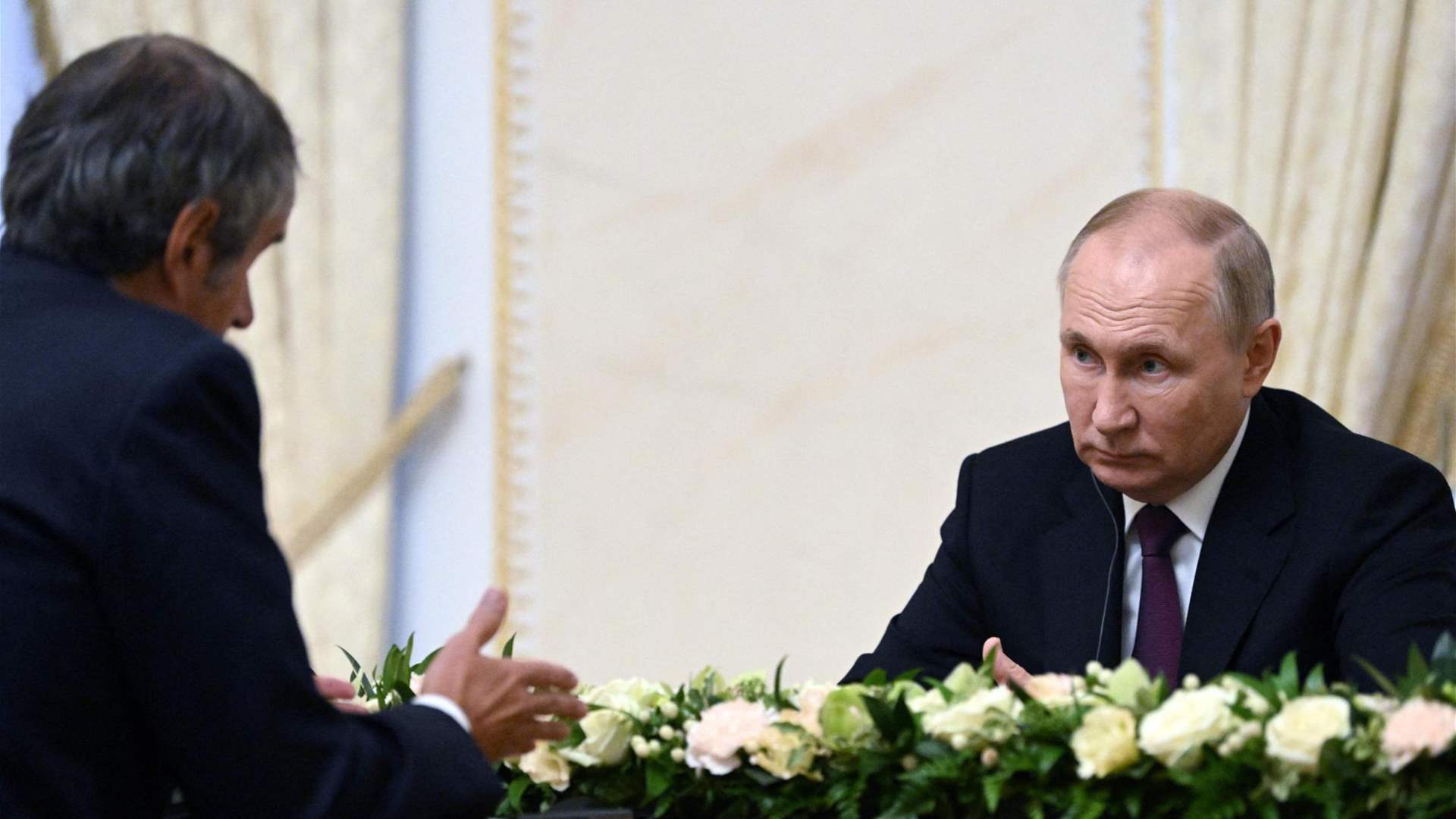 Putin to meet IAEA's chief to discuss Zaporizhzhia plant