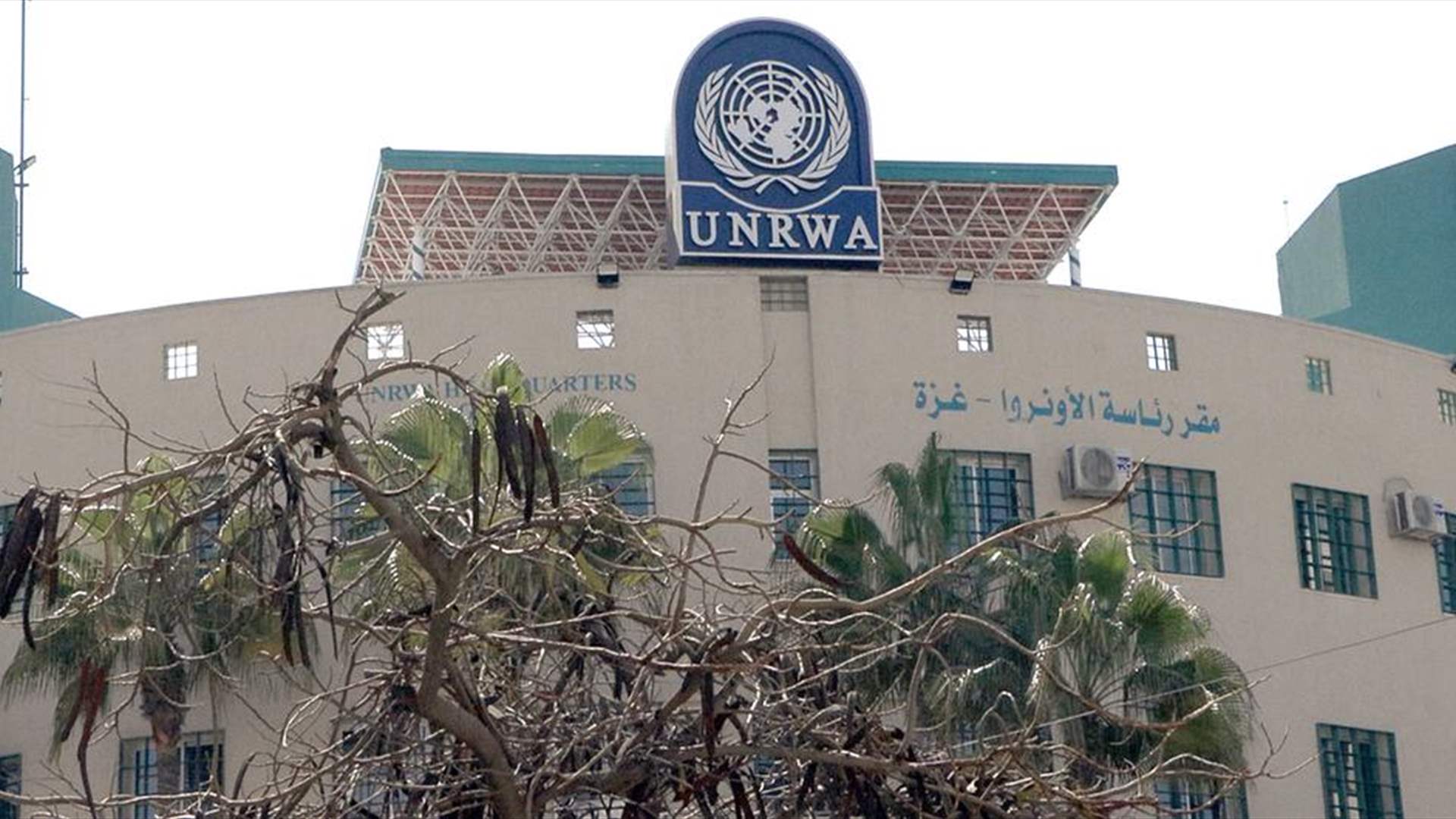 هبة قطرية للأونروا