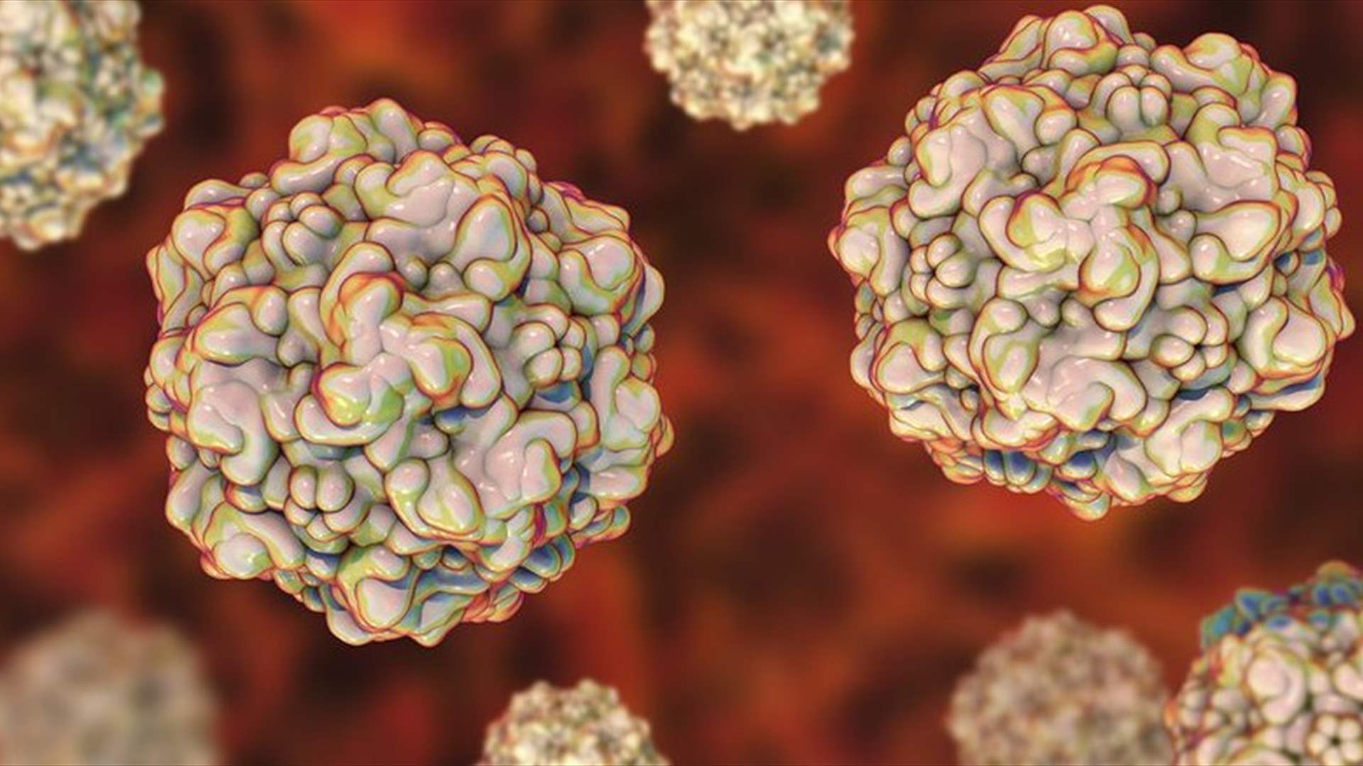 نقيب الأطباء البيطريين: Parvo Virus B19 لا ينتقل من الحيوان إلى الإنسان