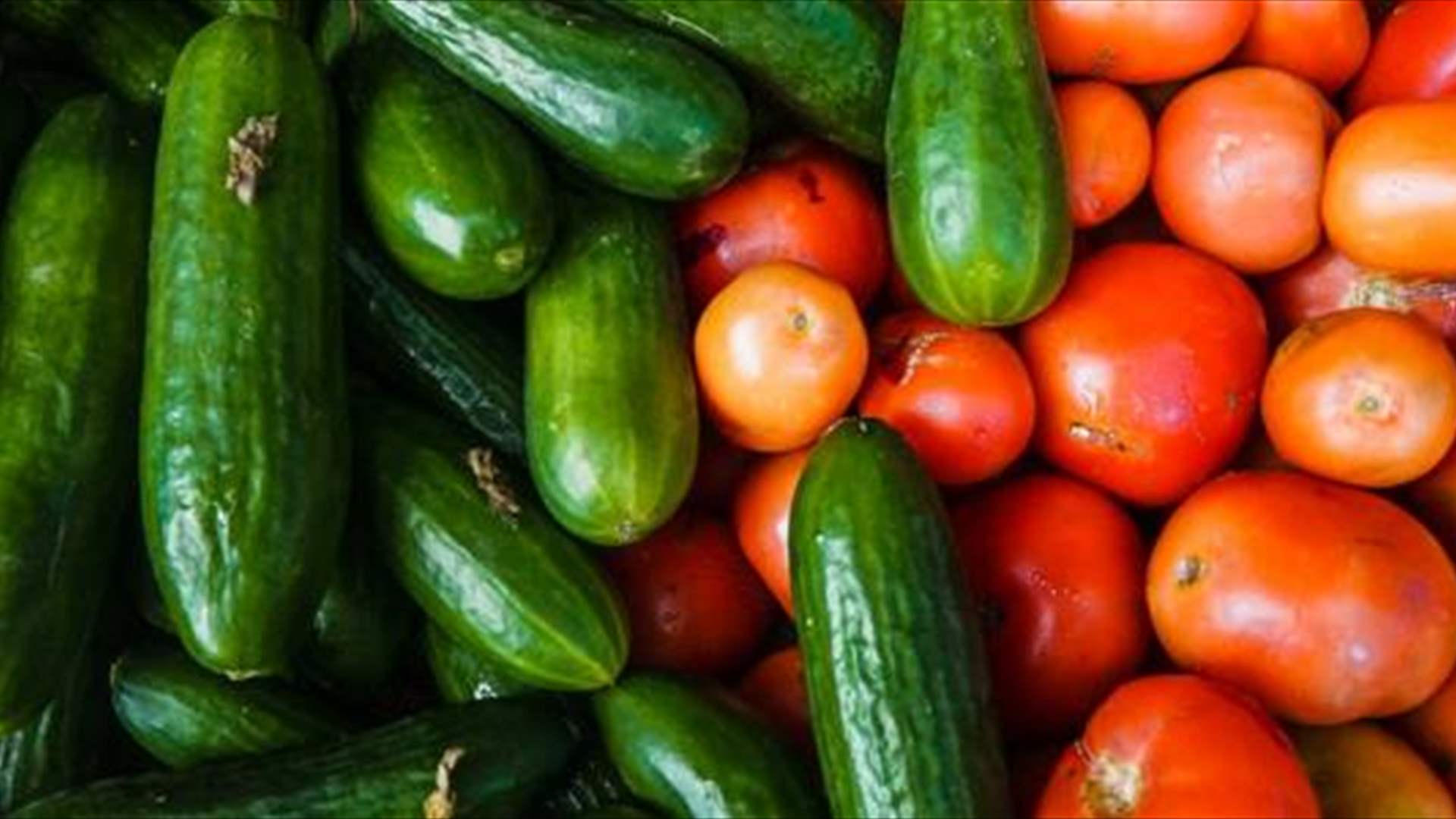 اسعار الخضار تطير.. والاستيراد من سوريا ومصر والأردن (الاخبار)