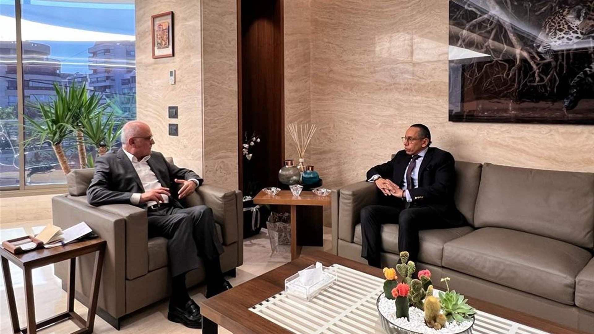 لقاء جمع السفير المصري والنائب حسن خليل