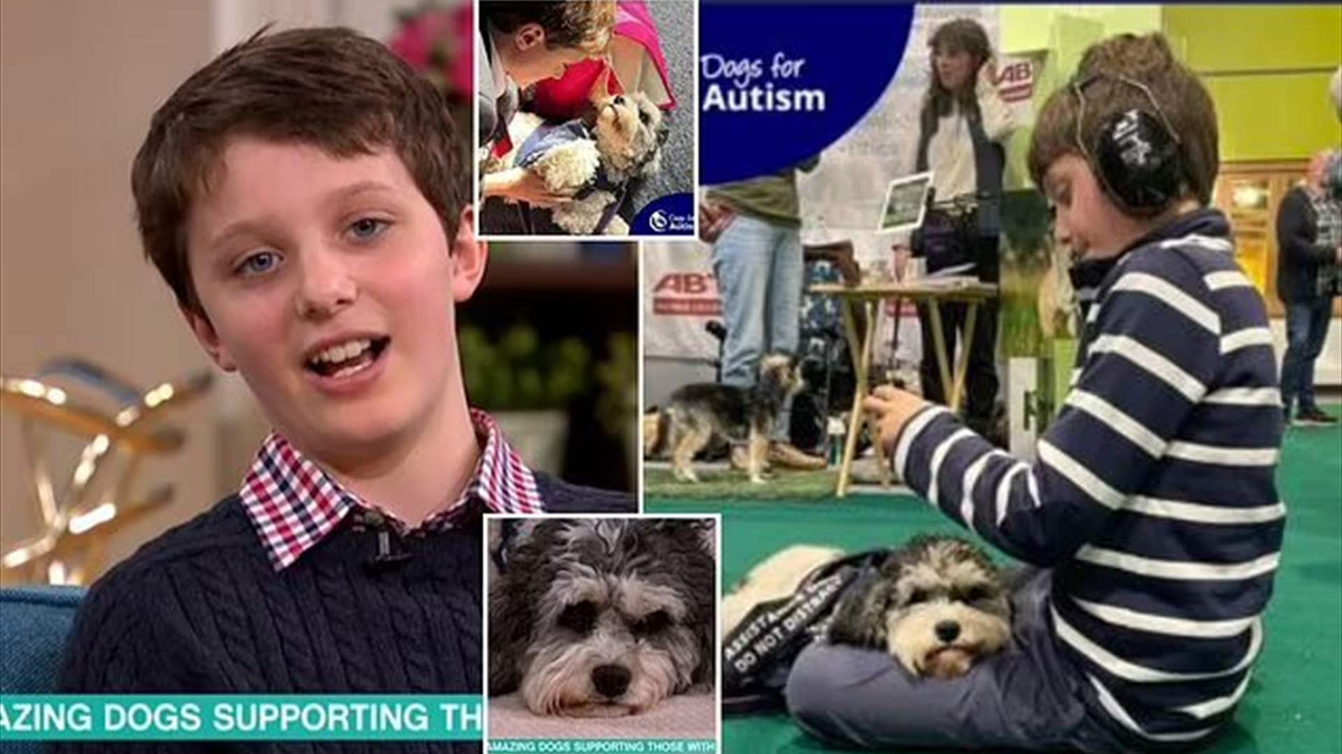 غيرت حياة طفل مصاب بالتوحد... تعرفوا إلى الكلبة &quot;ميغان&quot;! (فيديو)