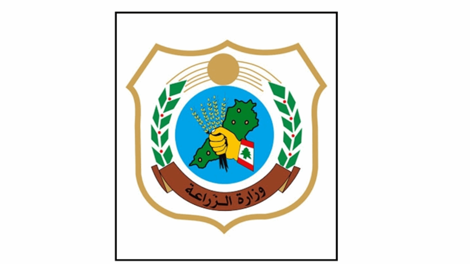 وزارة الزراعة: الكشف ميدانيا على باخرة تحمل البطاطا المصرية في مرفأ طرابلس .. اليكم نتيجة الفحوصات
