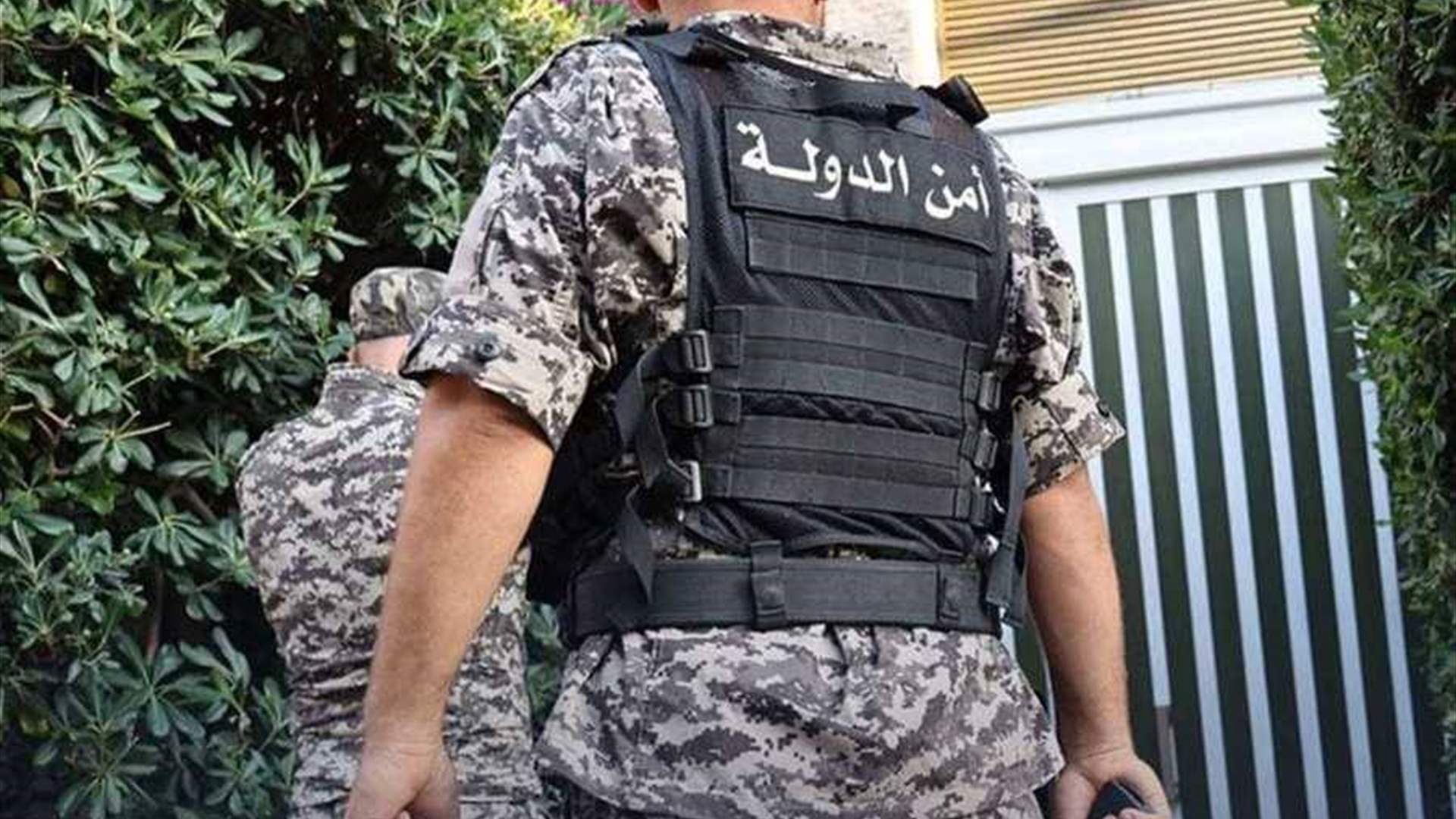 توقيف 3 سوريين لسرقتهم بستان "أفوكا" في الحوش- صور