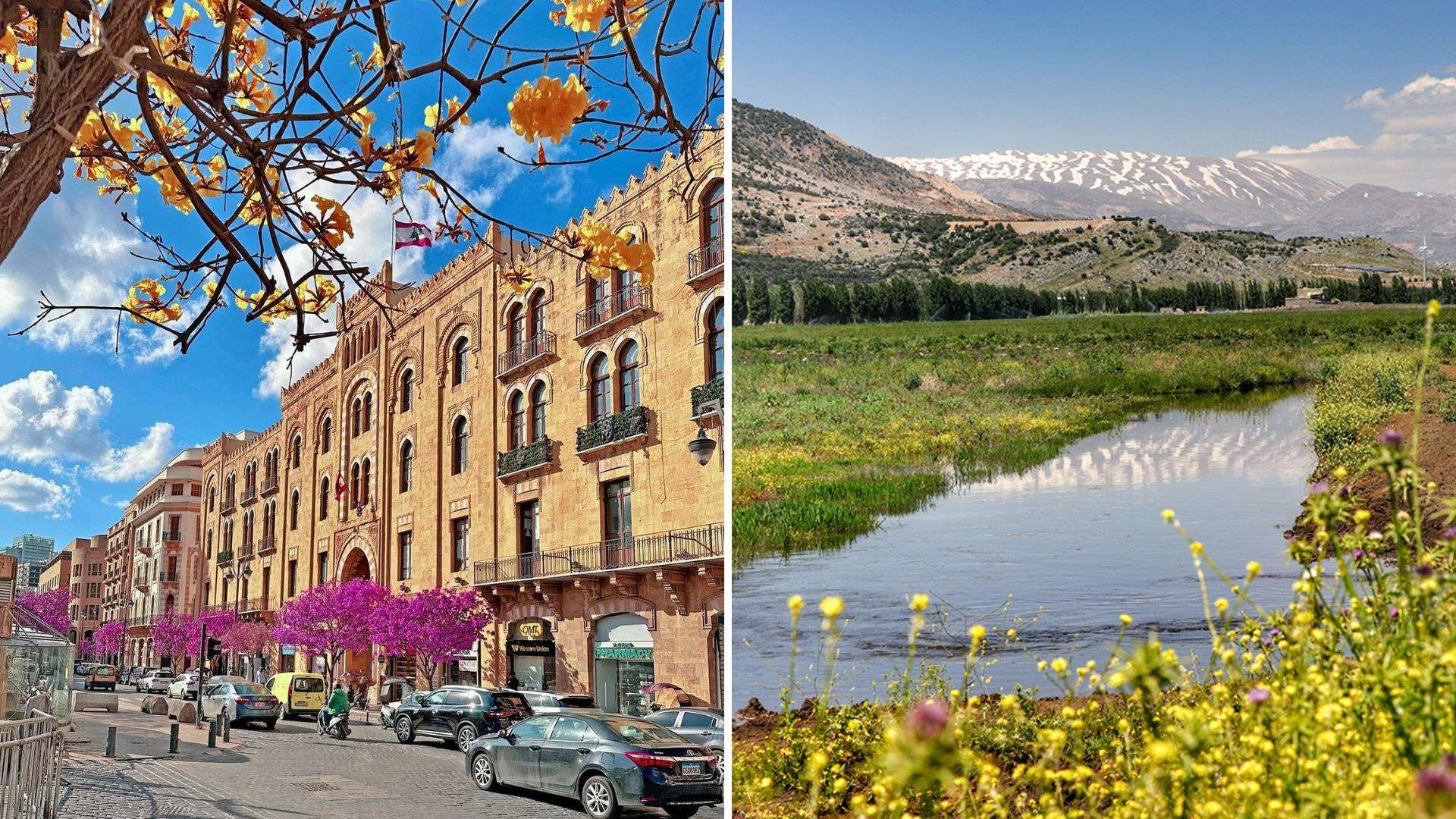 Lebanon&#39;s springtime splendor: A journey through nature&#39;s canvas in pictures